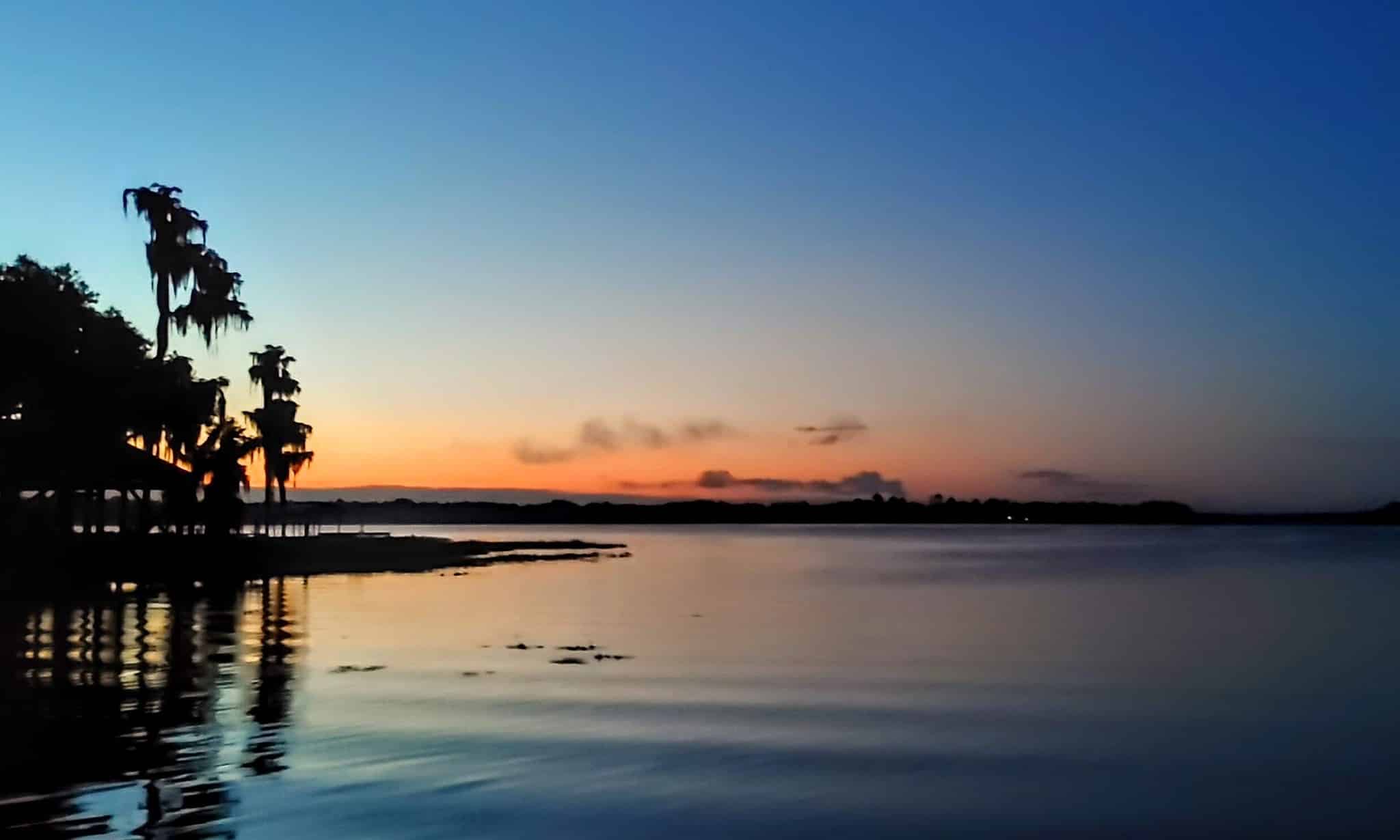 Santa Fe Swamp Conservation Area - Starke, FL
