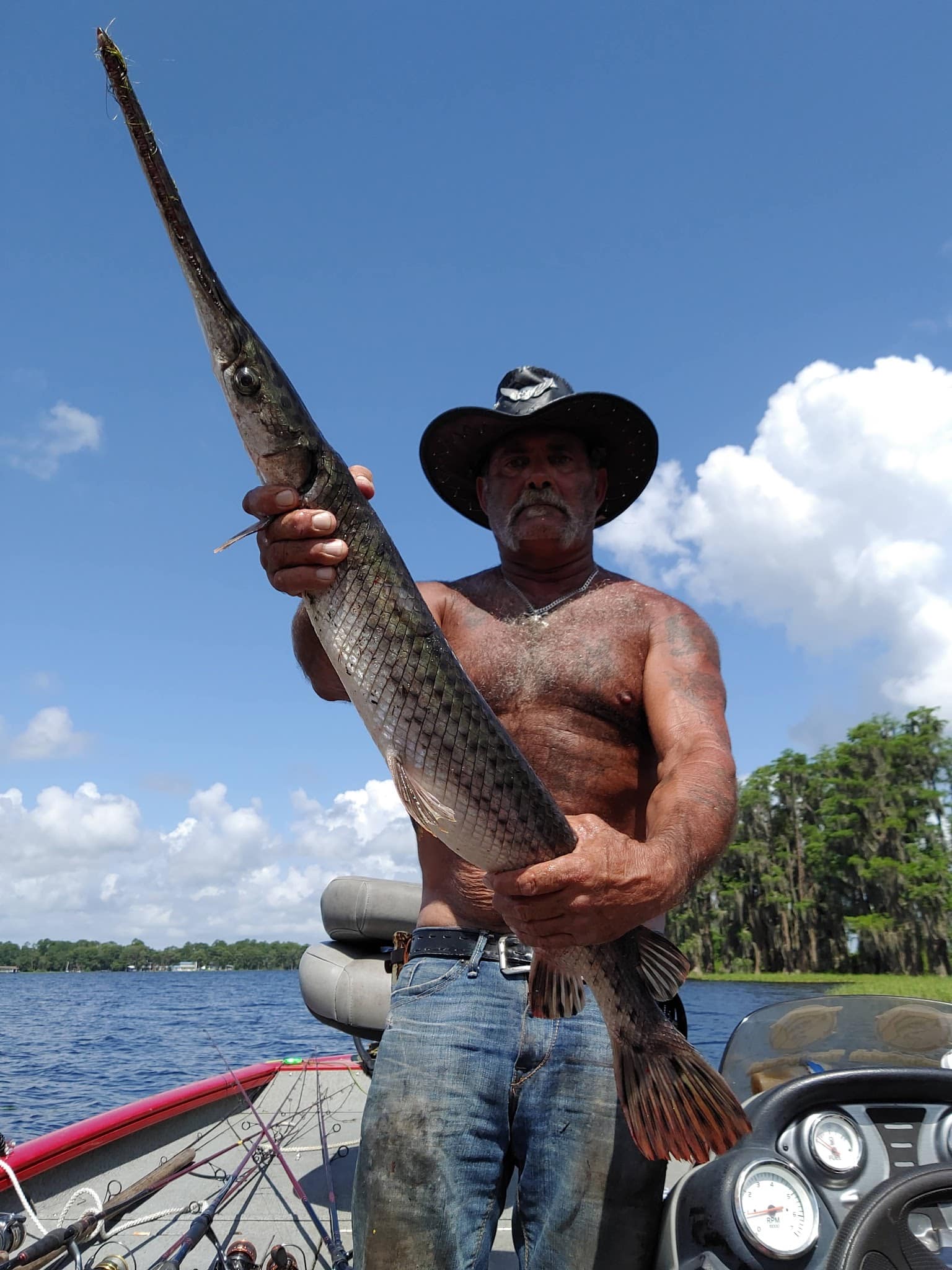 Santa Fe Swamp Conservation Area - Starke, FL