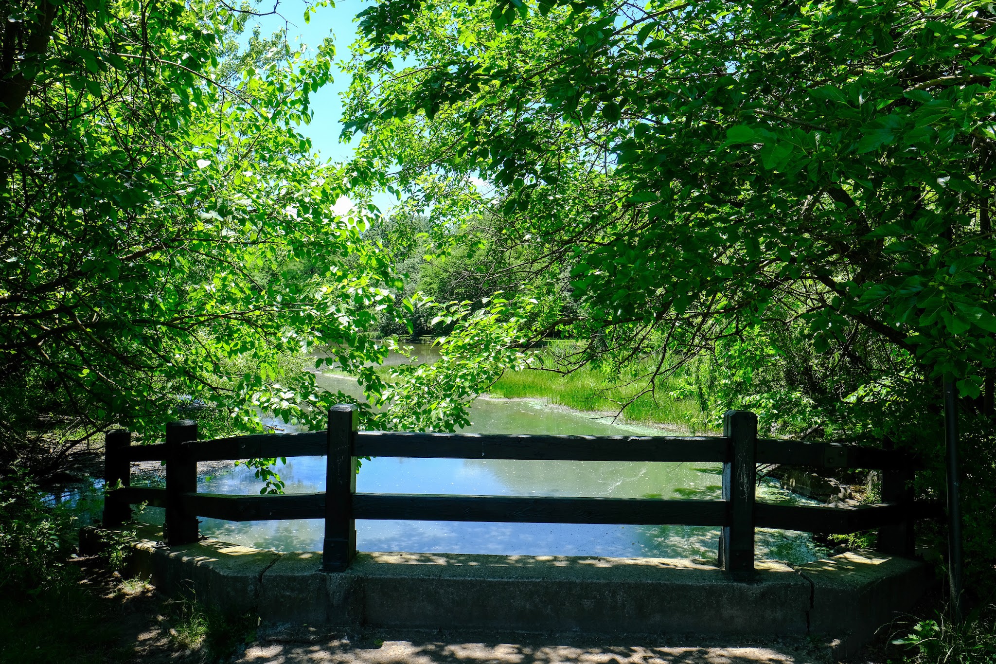 Willowbrook Park - Staten Island, NY
