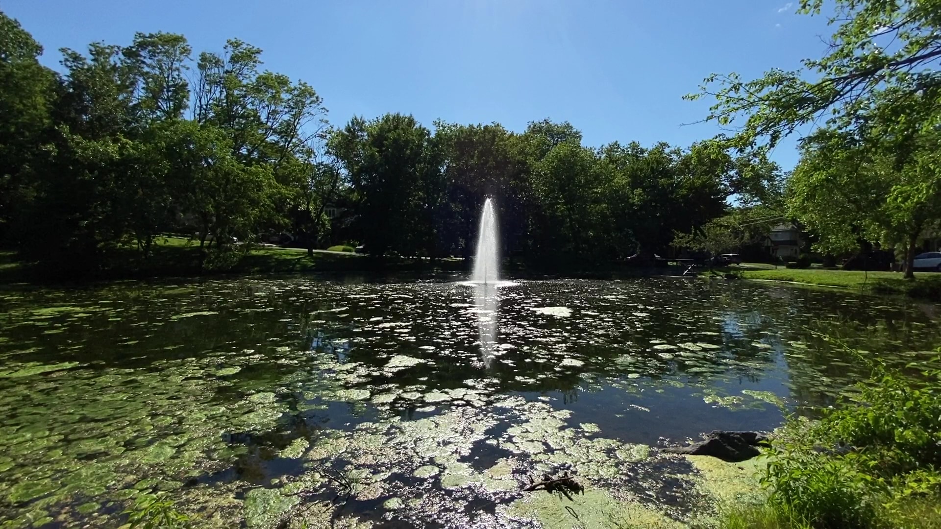 Allison Pond Park - Staten Island, NY