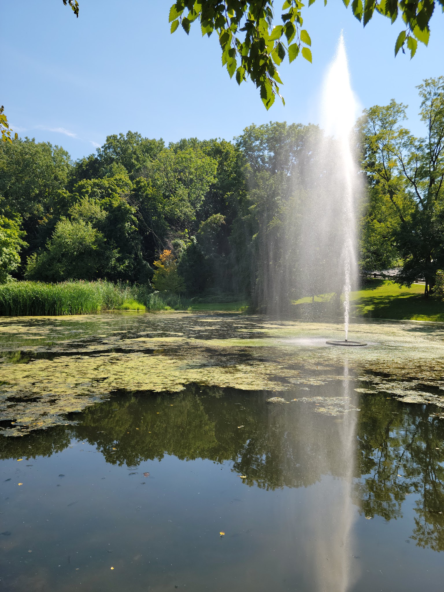 Allison Pond Park - Staten Island, NY