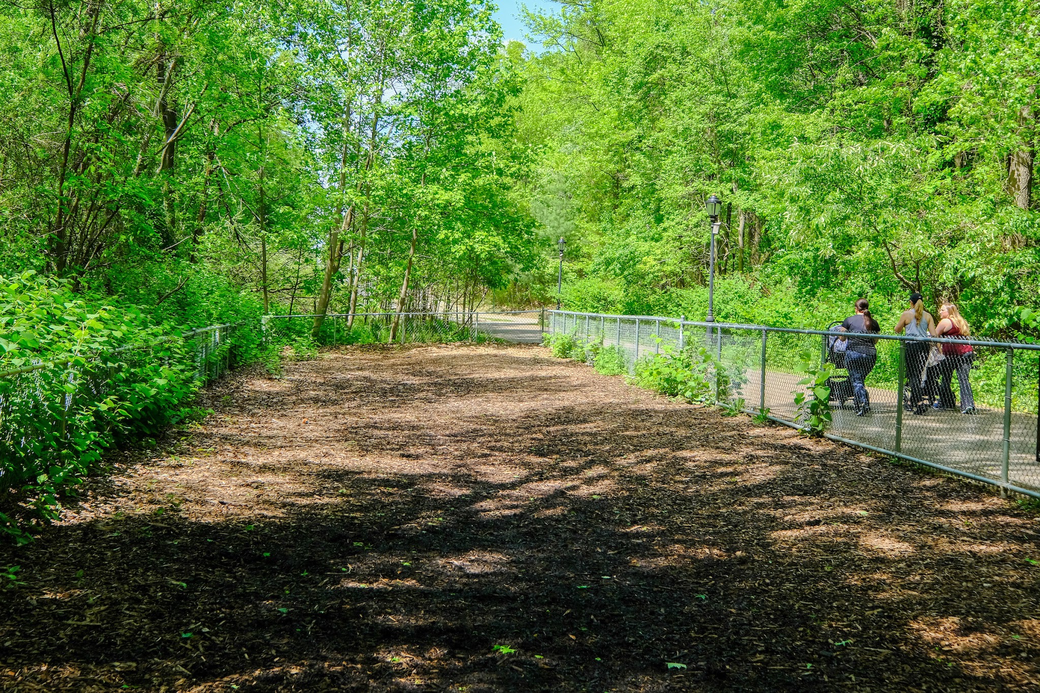 Bloomingdale Dog Run - Staten Island, NY