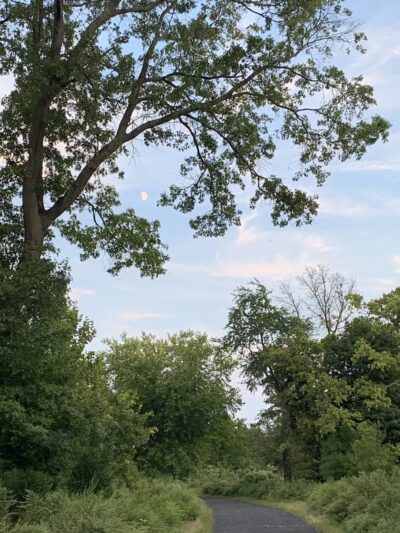 Conference House Dog Park - Staten Island, NY