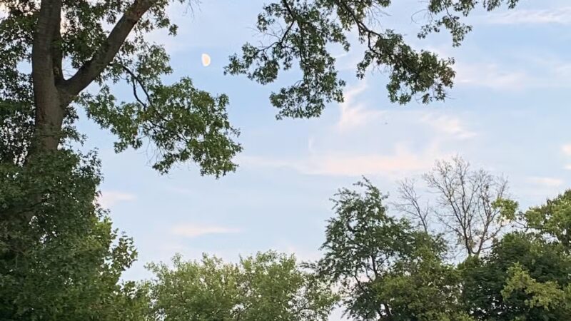 Conference House Dog Park - Staten Island, NY