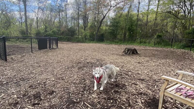 Conference House Dog Park - Staten Island, NY