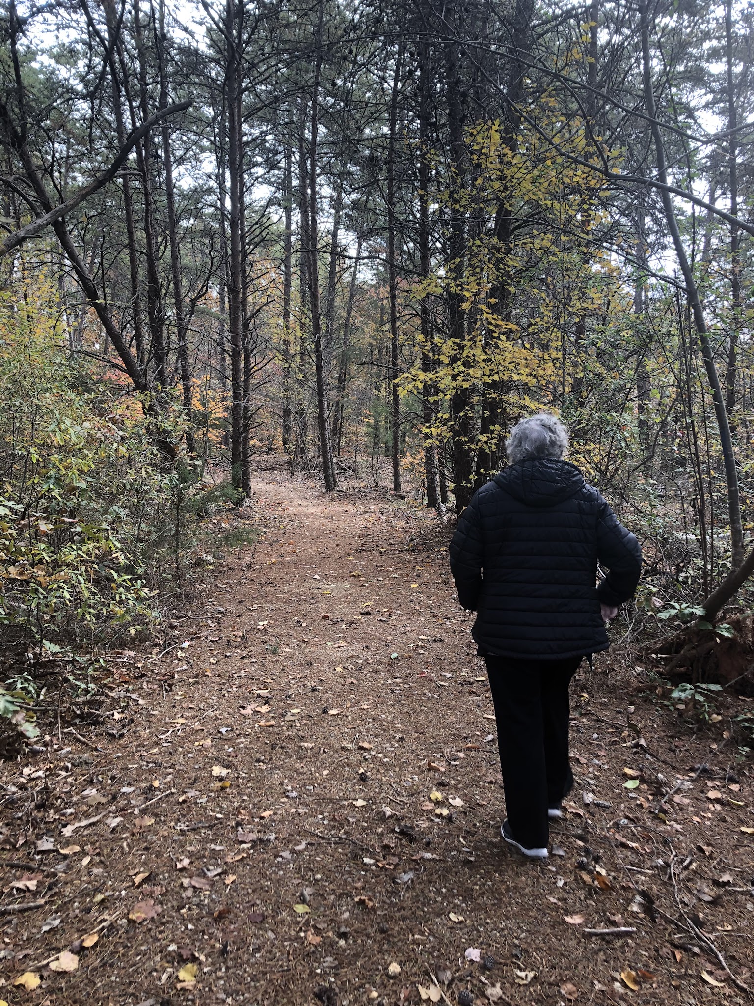 East Iredell Lions Club Community Park - Statesville, NC