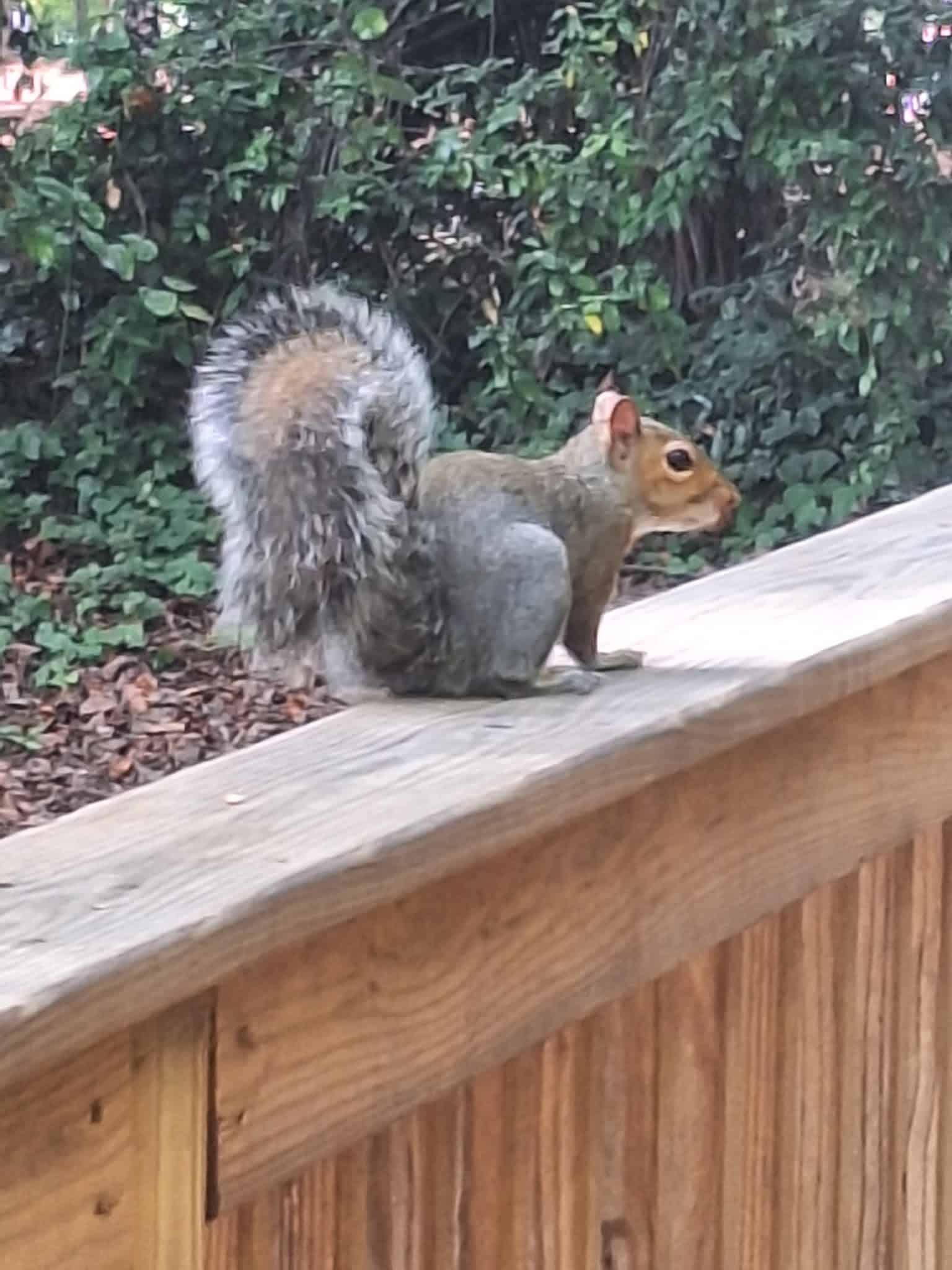 Mac Anderson Park - Statesville, NC