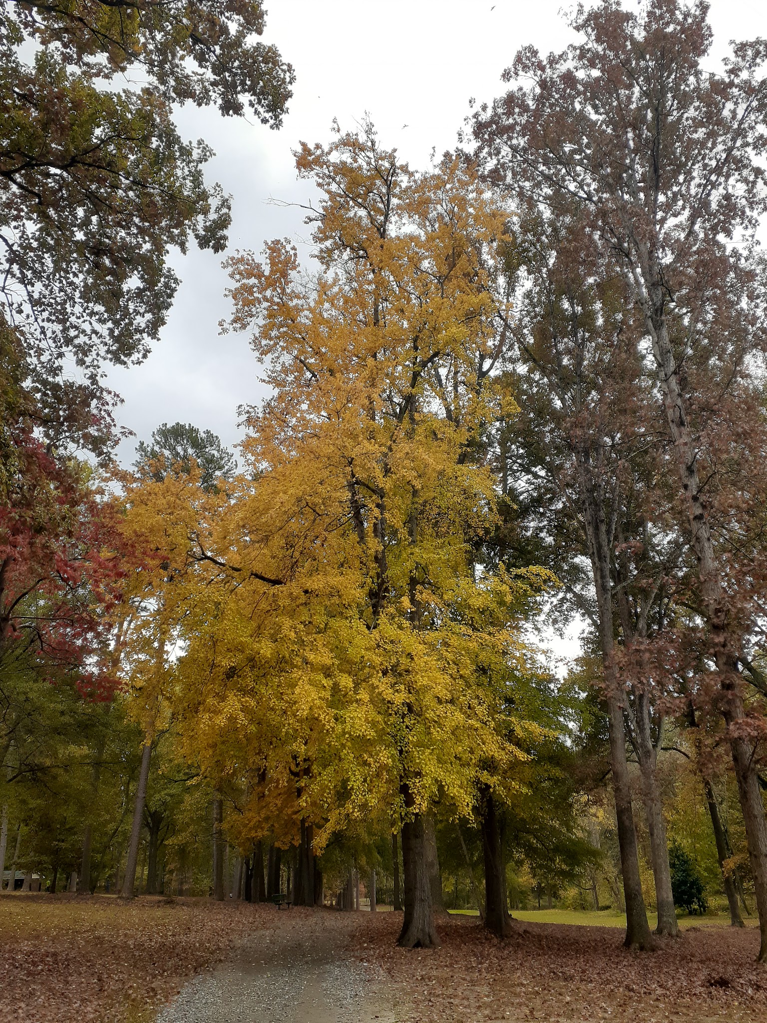 Mac Anderson Park - Statesville, NC