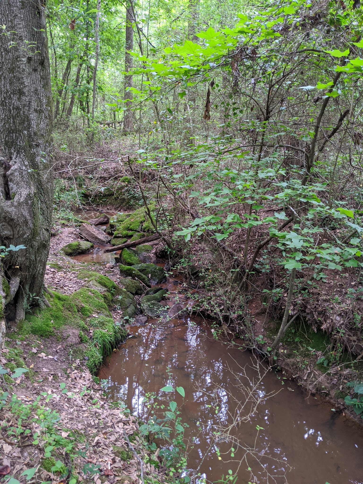 Robert L. Bridges Park - Statham, GA