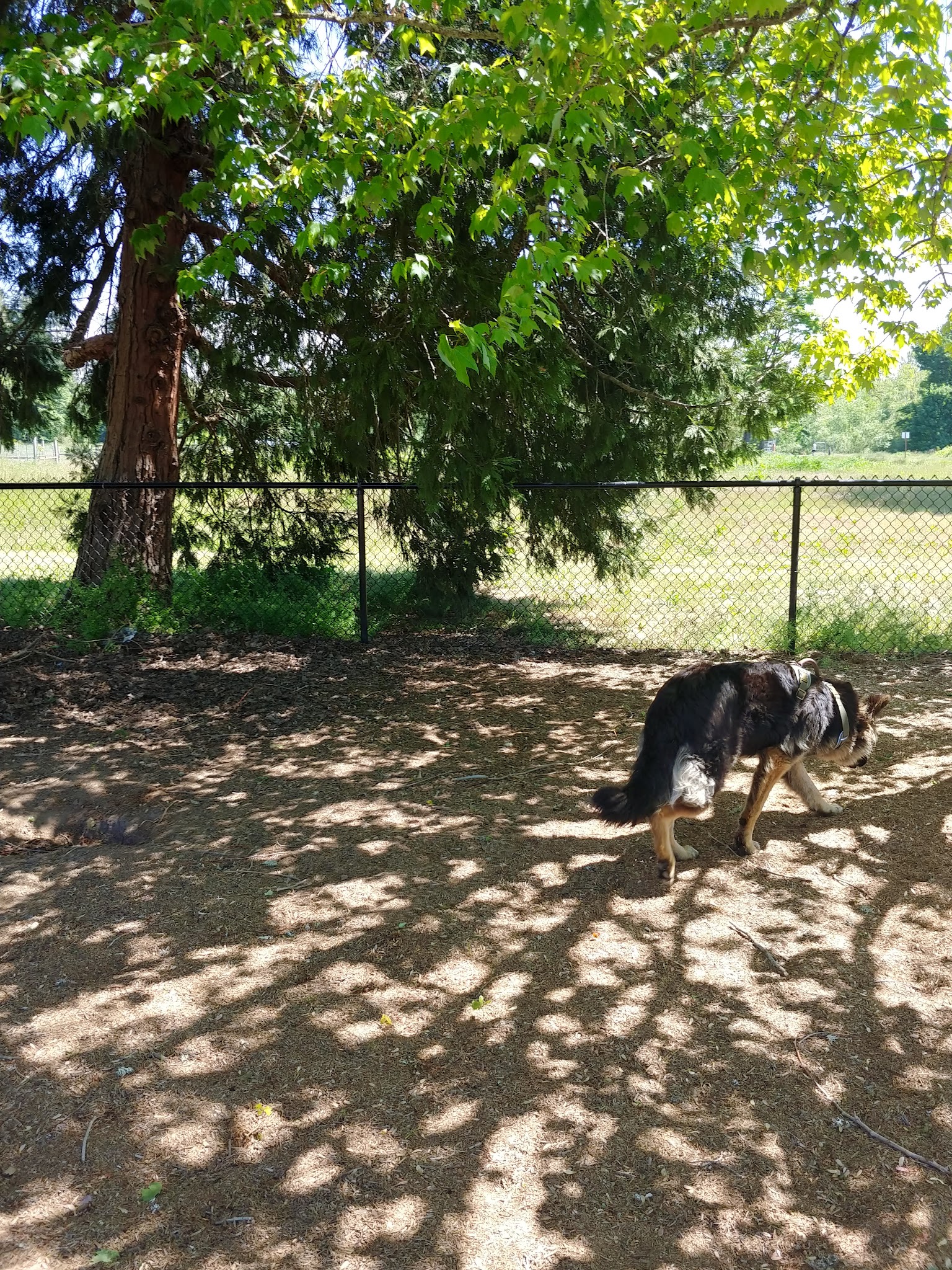 Stayton Community Dog Park - Stayton, OR