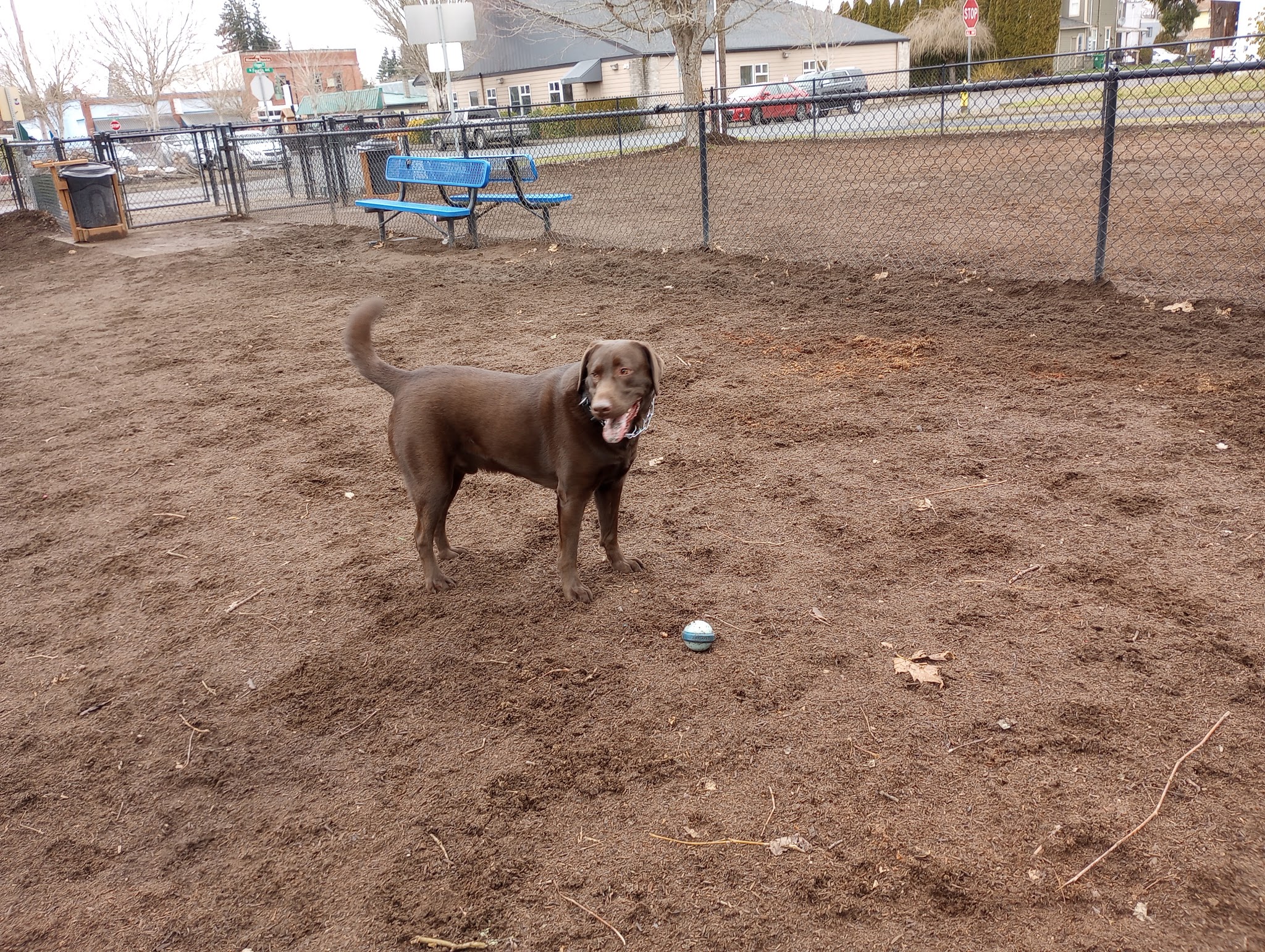 Stayton Community Dog Park - Stayton, OR
