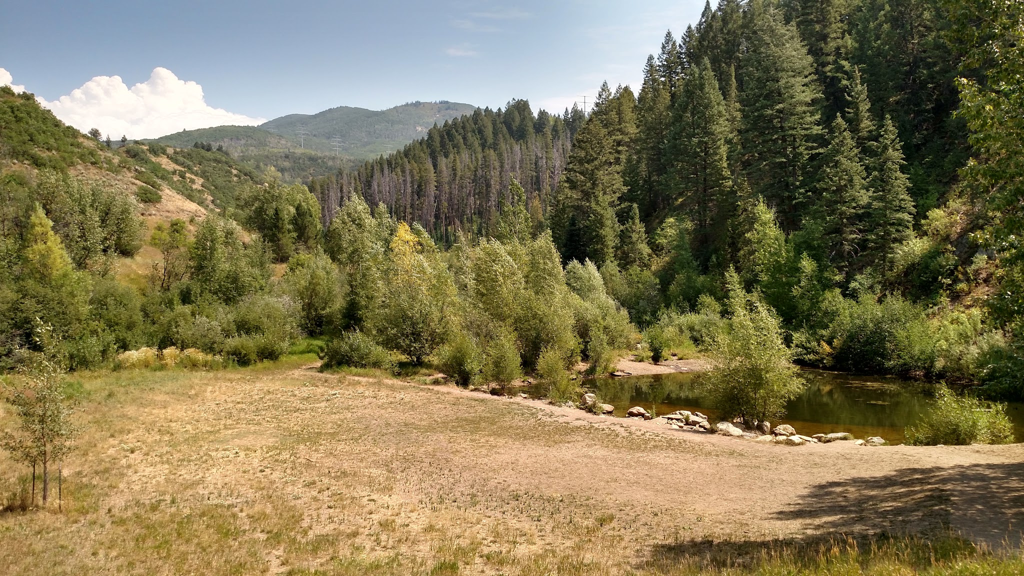 Spring Creek Dog Park at the Lower Pond - Steamboat Springs, CO