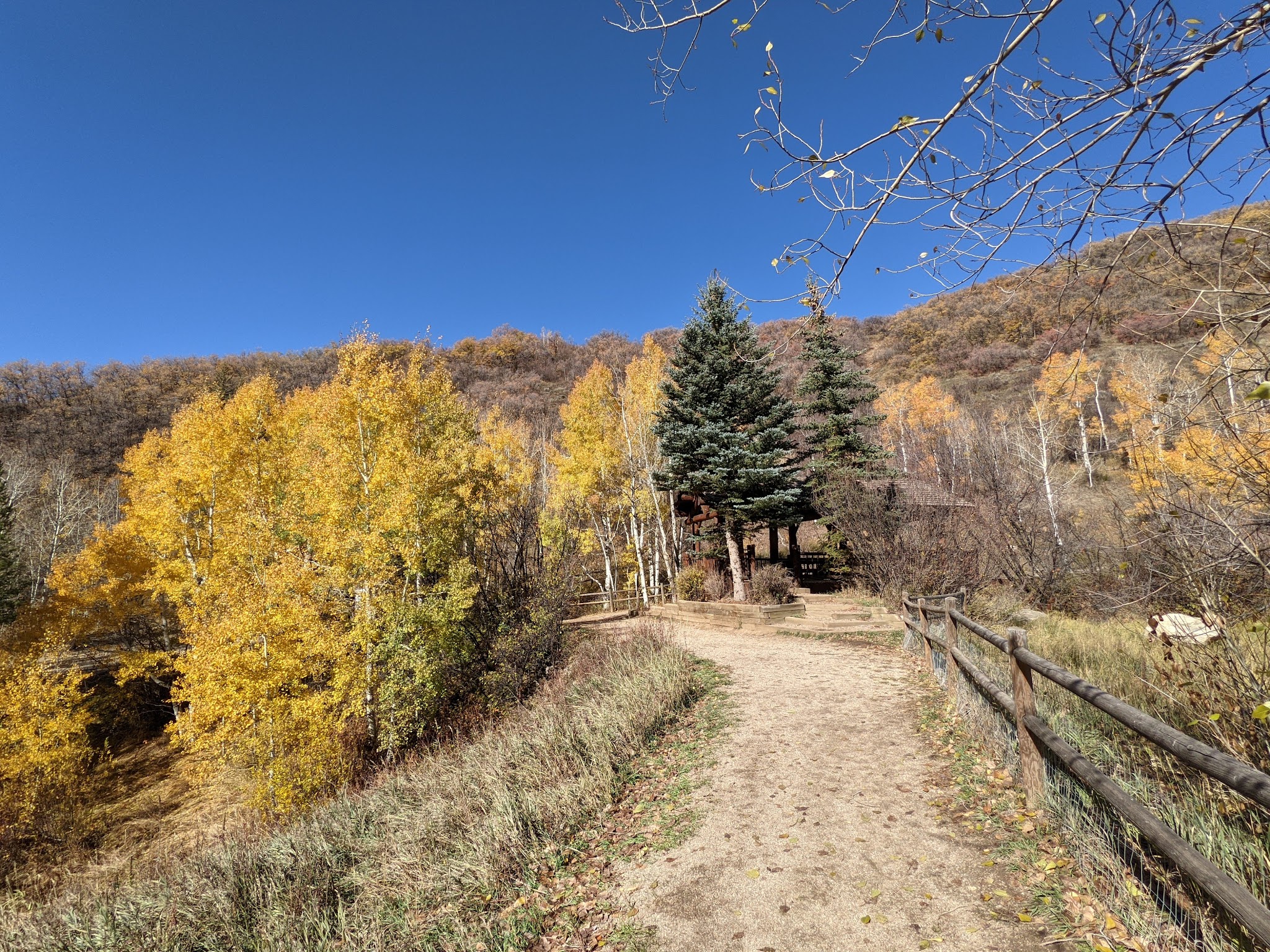 Spring Creek Dog Park at the Lower Pond - Steamboat Springs, CO