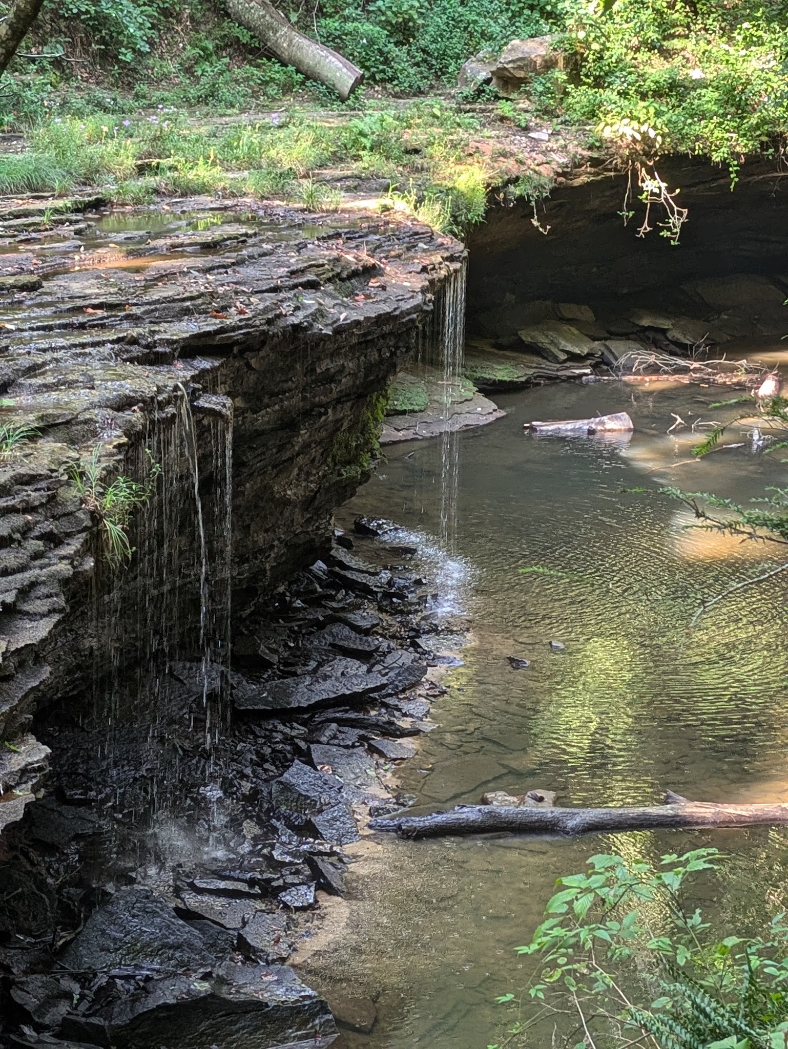 Princess Falls Trailhead - Stearns, KY