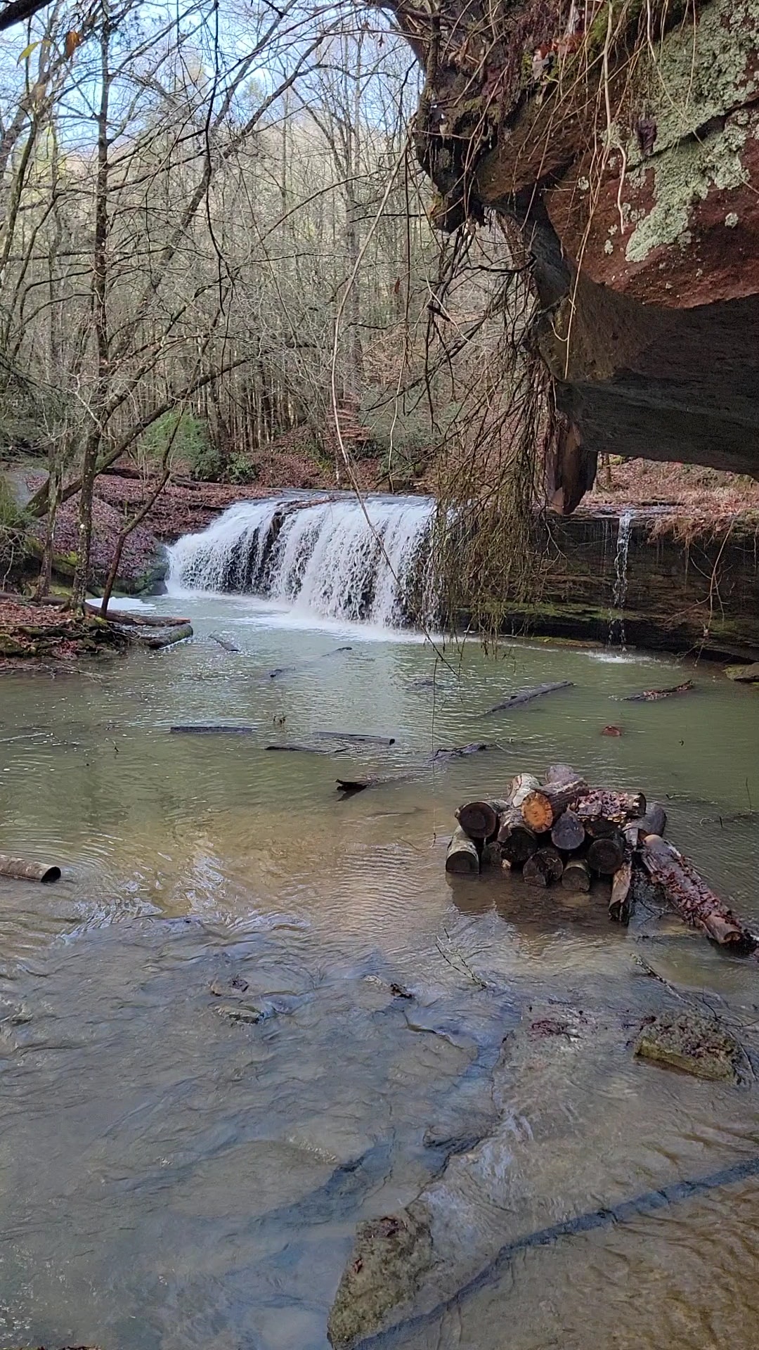 Princess Falls Trailhead - Stearns, KY