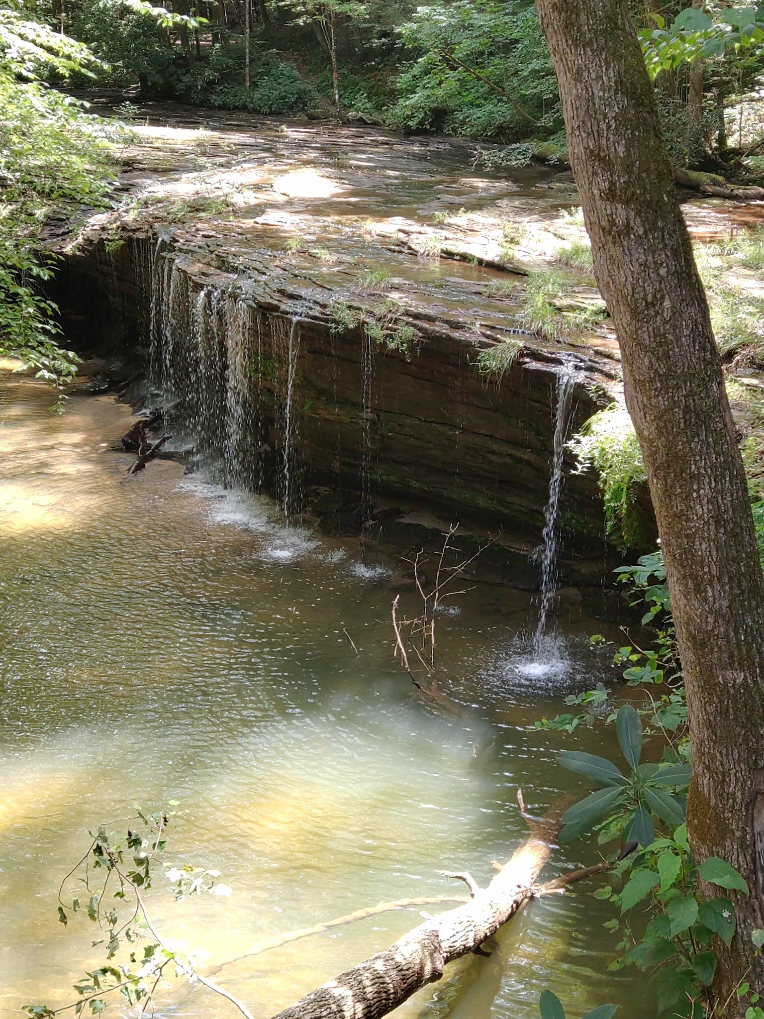 Princess Falls Trailhead - Stearns, KY