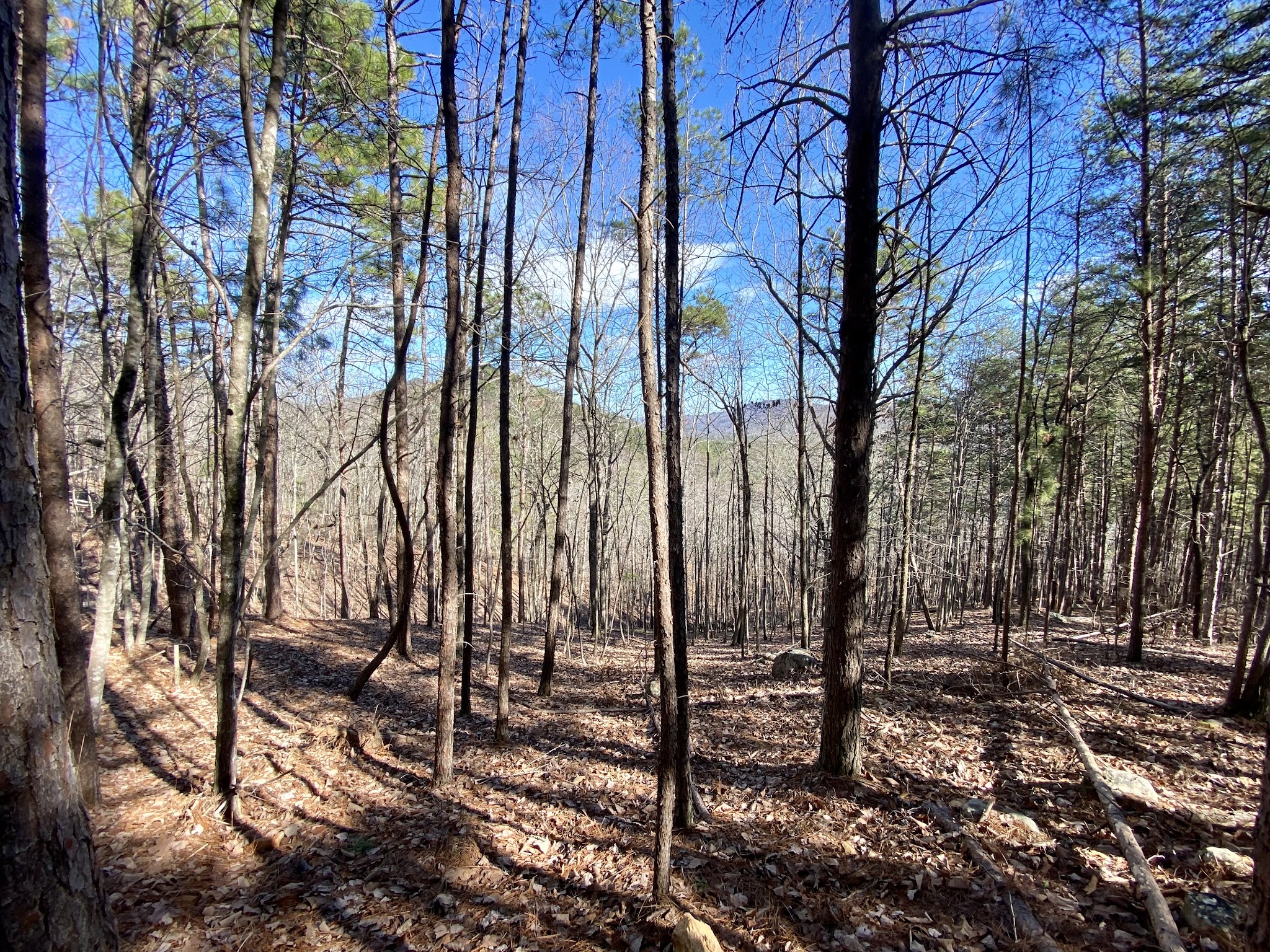 Double Oak Park - Sterrett, AL