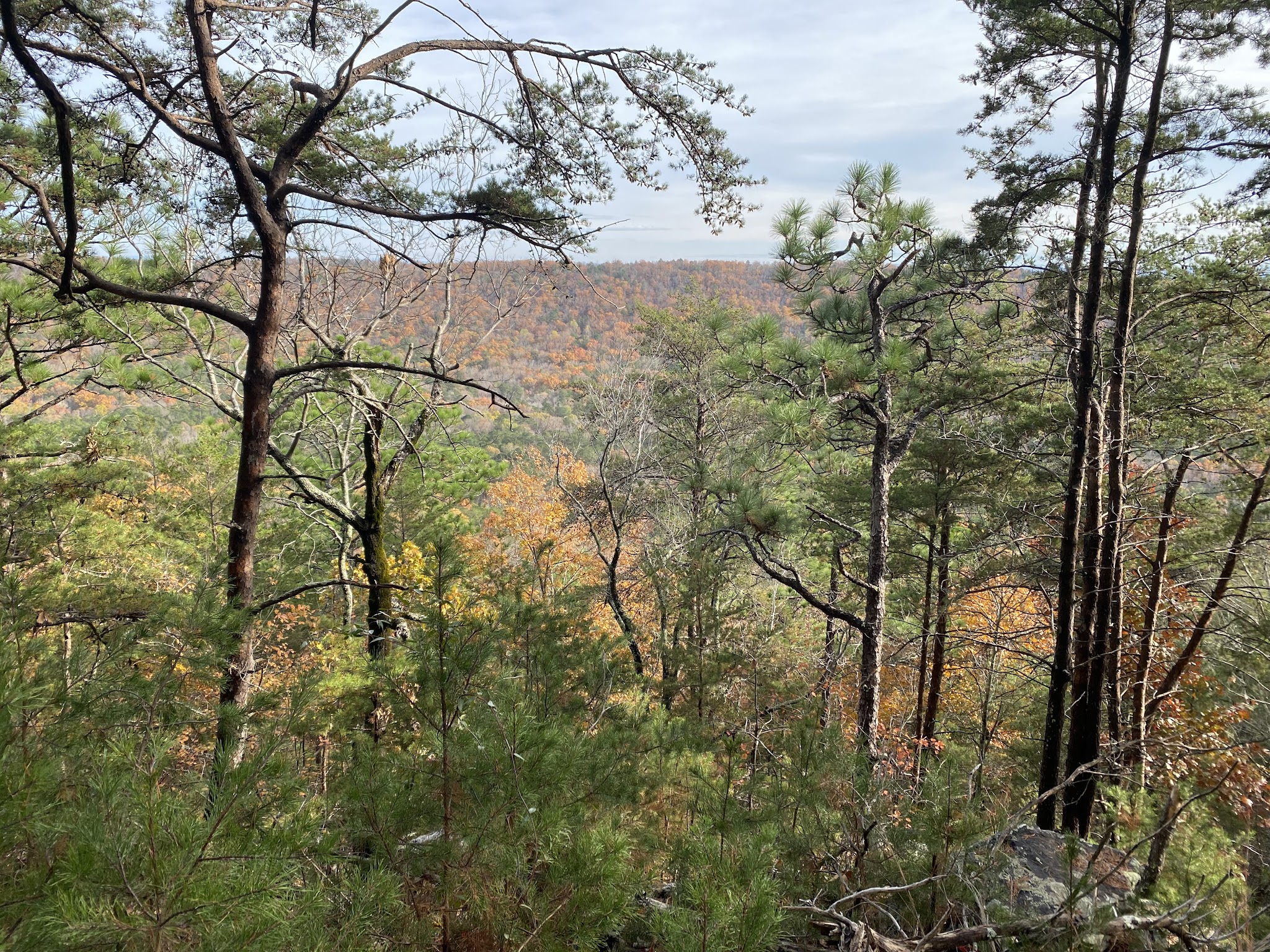 Double Oak Park - Sterrett, AL