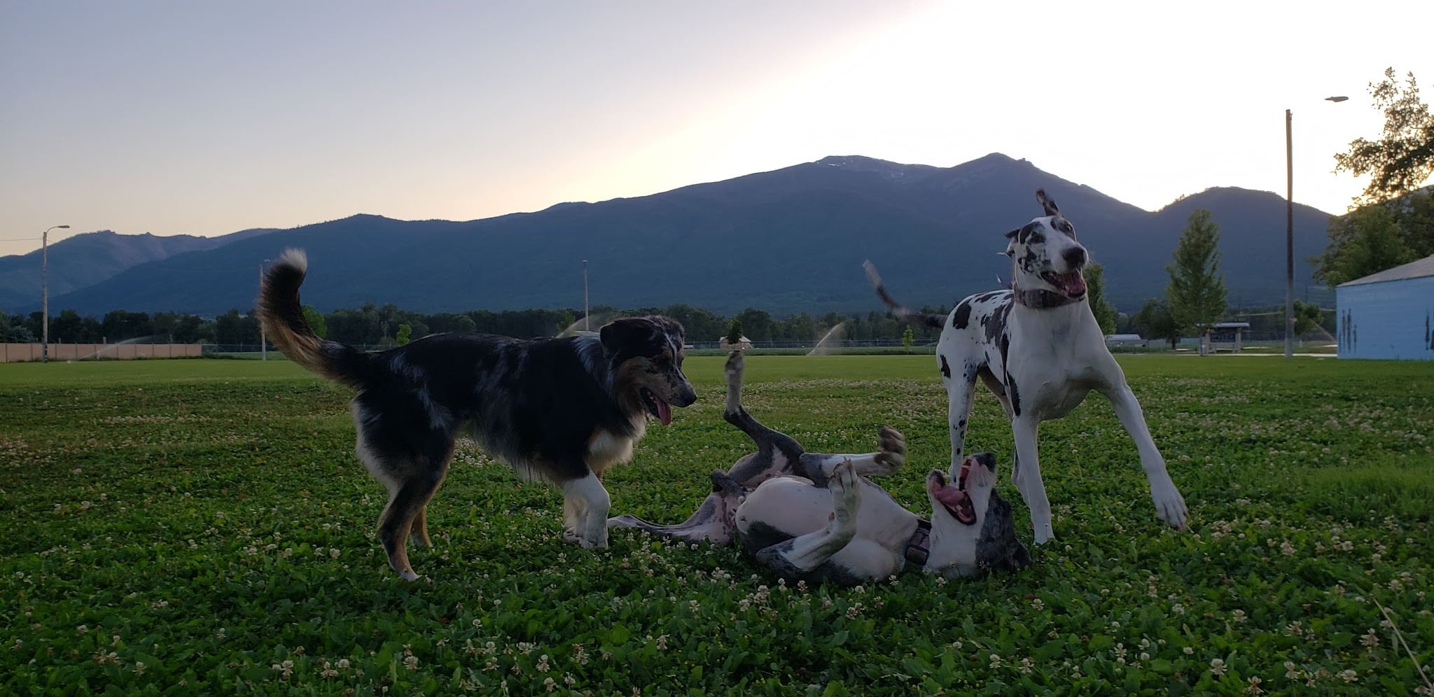 Lewis and Clark Park - Stevensville, MT