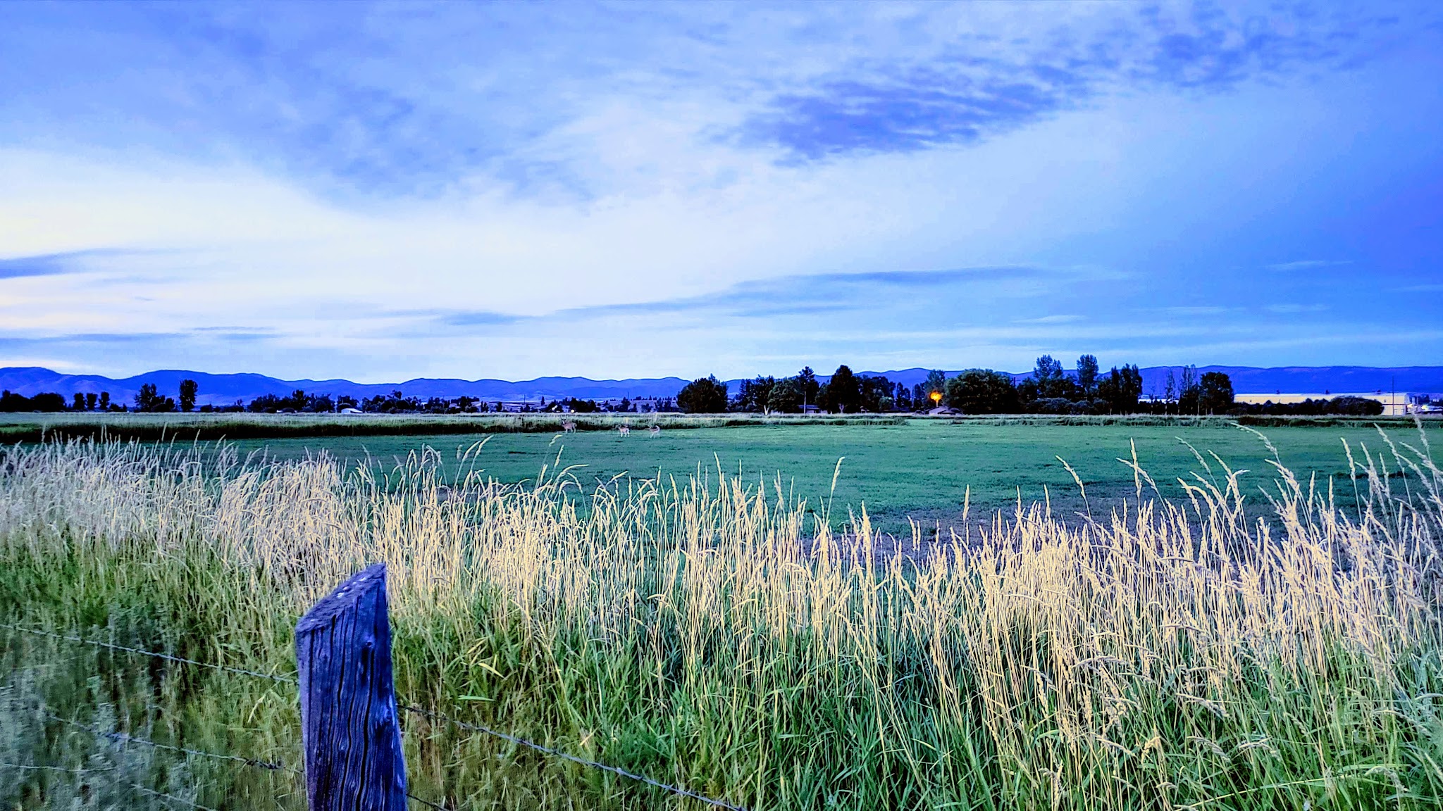 US Forest Services Ranger Station - Stevensville, MT