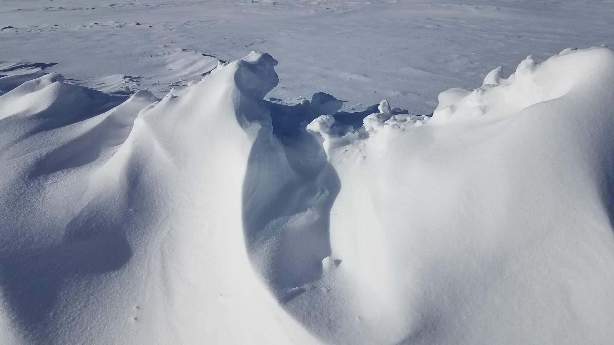 W.G. Leese Community Park - Stevensville, MT