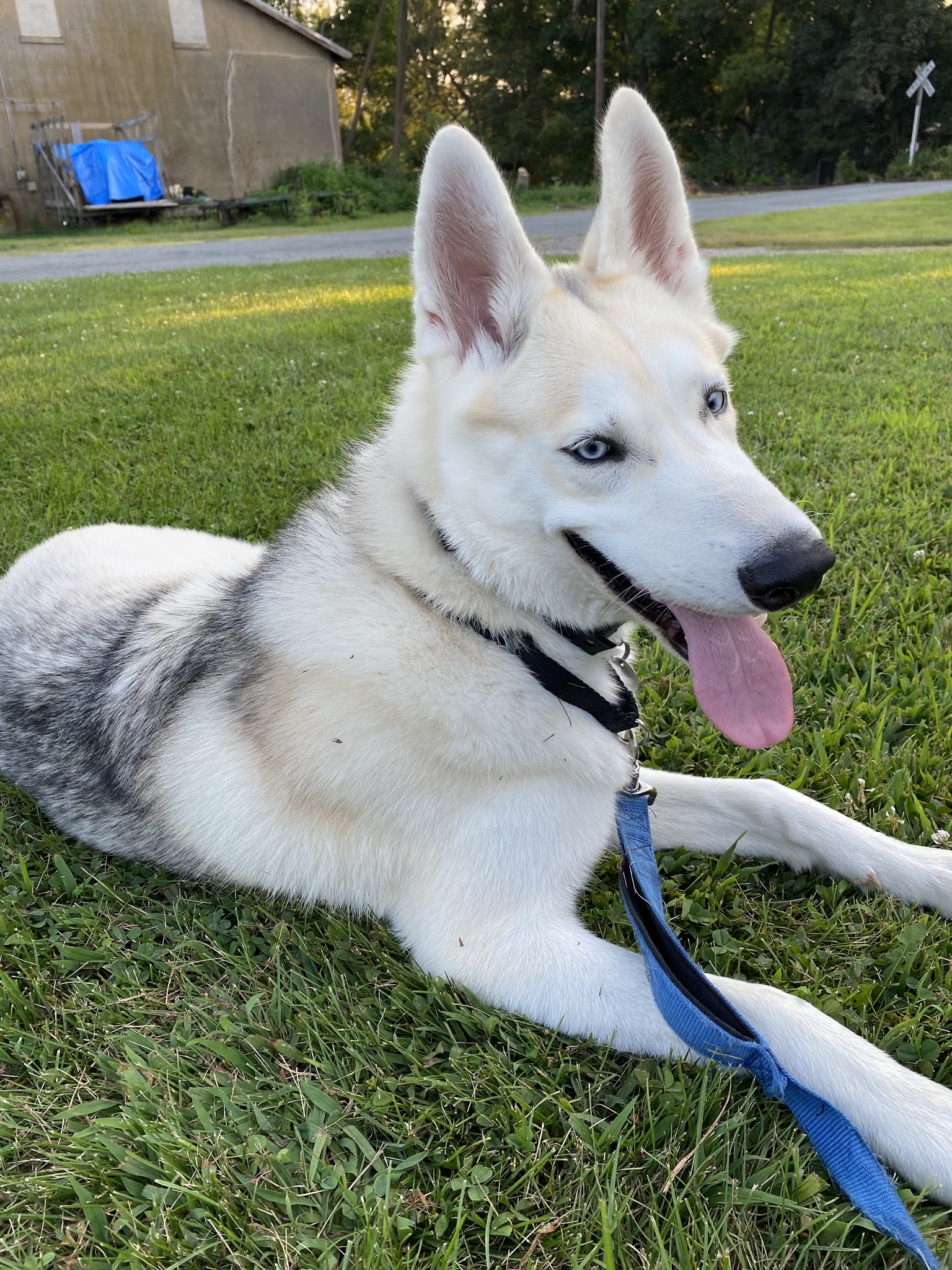 Janry Pet Resort - Stewartsville, NJ