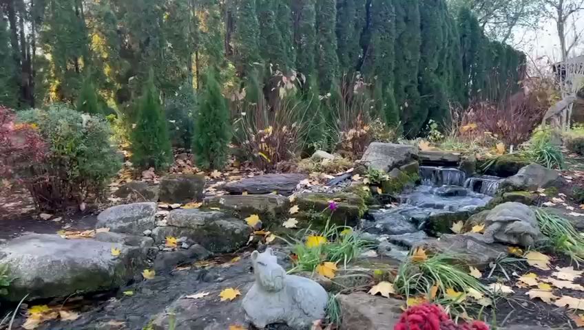 Janry Pet Resort - Stewartsville, NJ