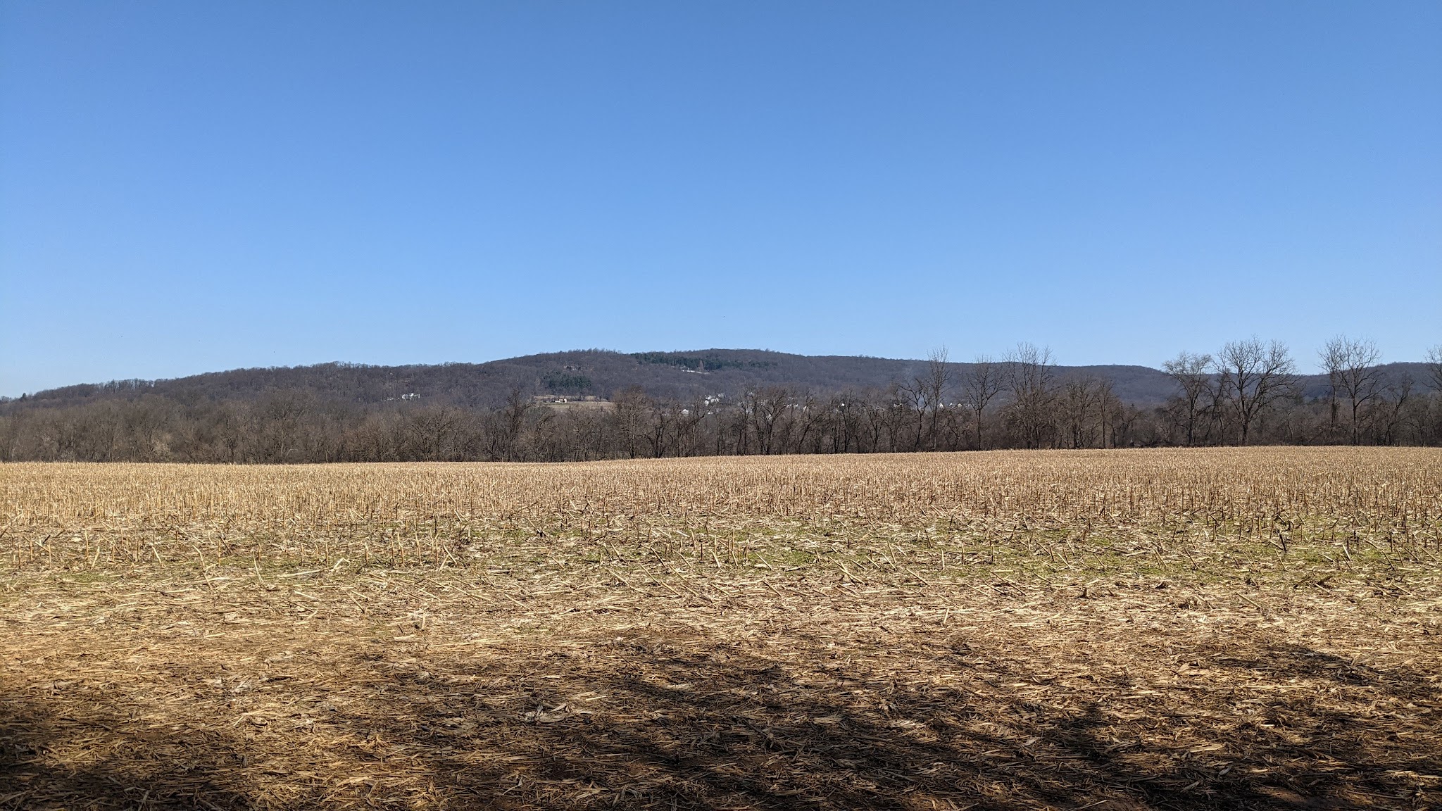 Morris Canal Greenway Trail - Stewartsville, NJ