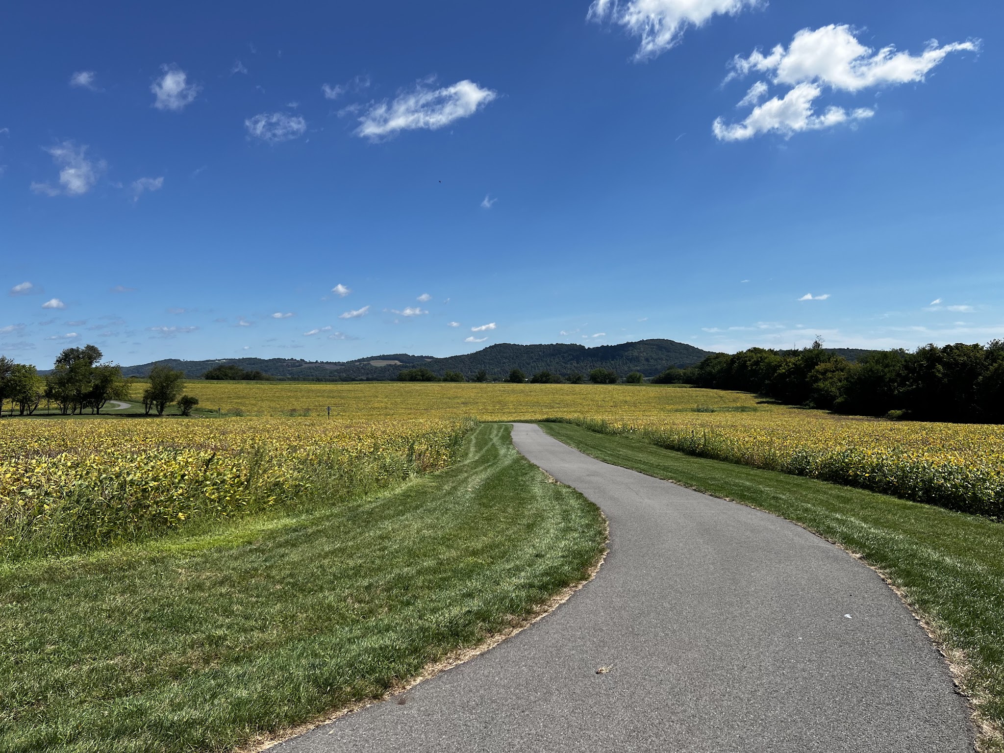 Thomas Stewart Park - Stewartsville, NJ