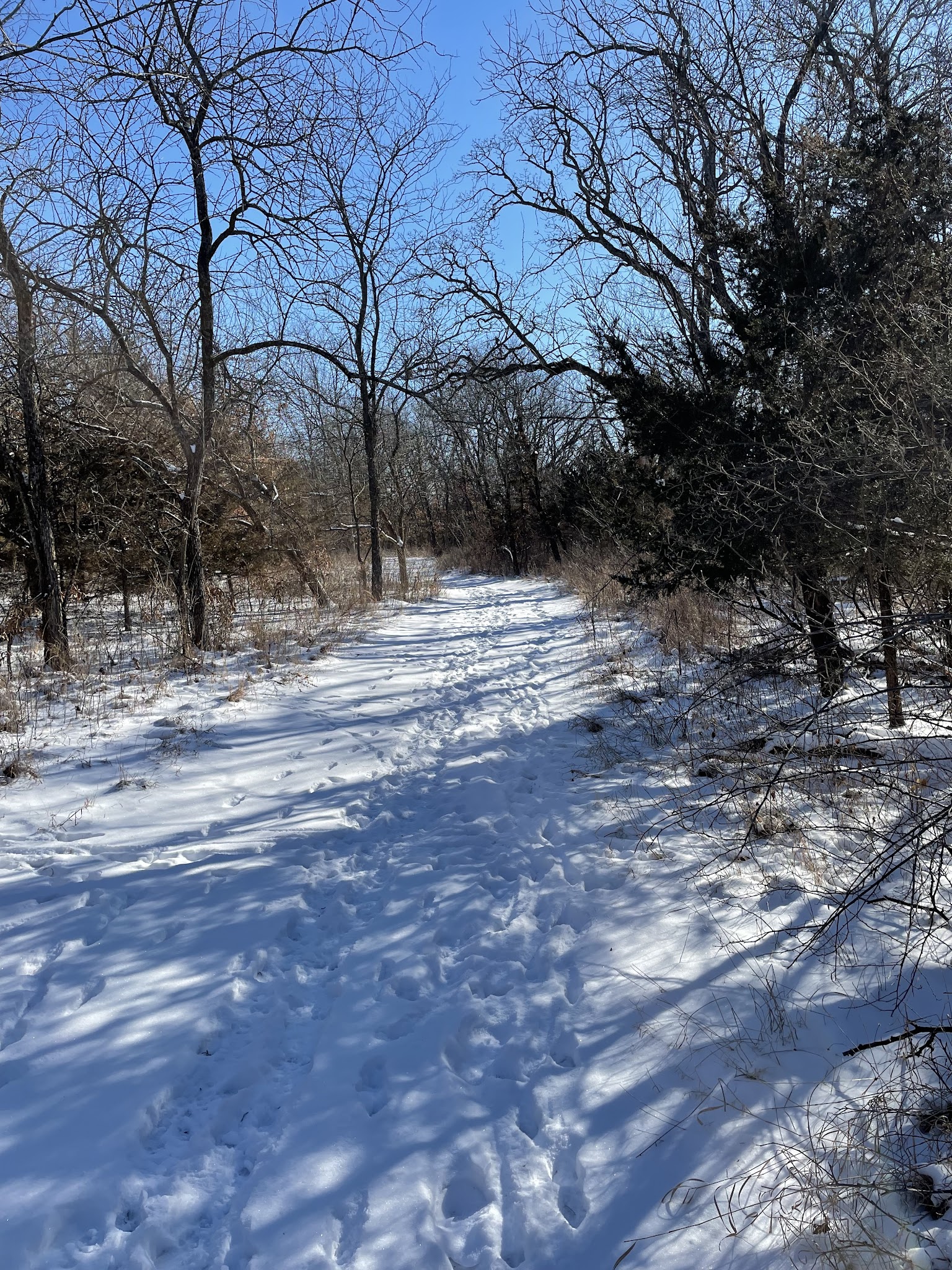 Camp Branch Glade Park - Stilwell, KS