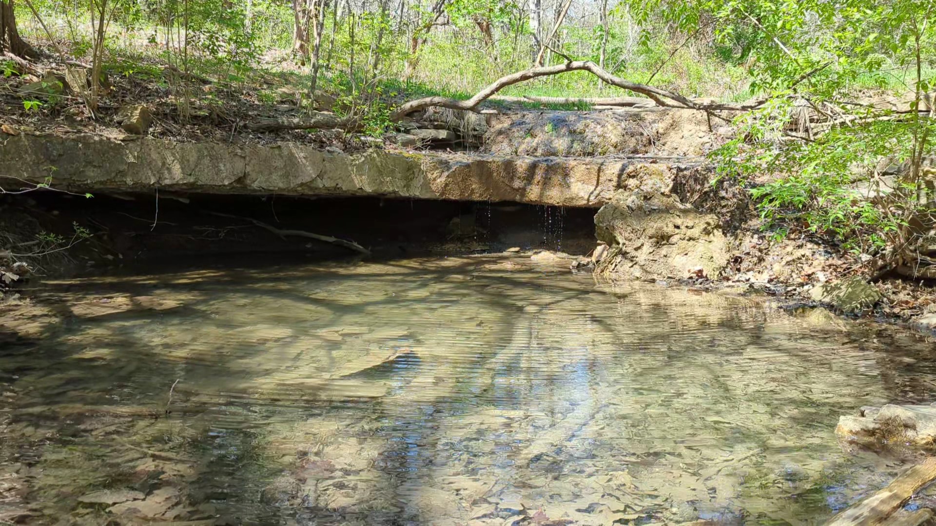 Camp Branch Glade Park - Stilwell, KS