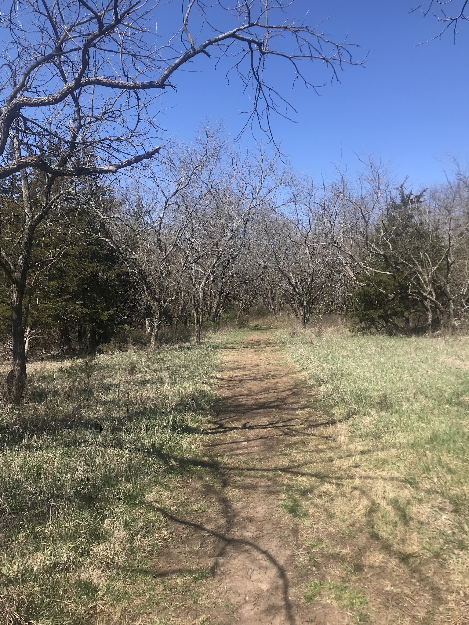 Camp Branch Glade Park - Stilwell, KS