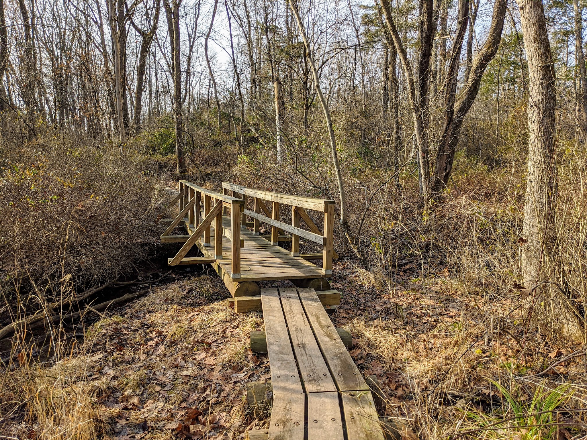 Hicks Tract Park - Stirling, NJ