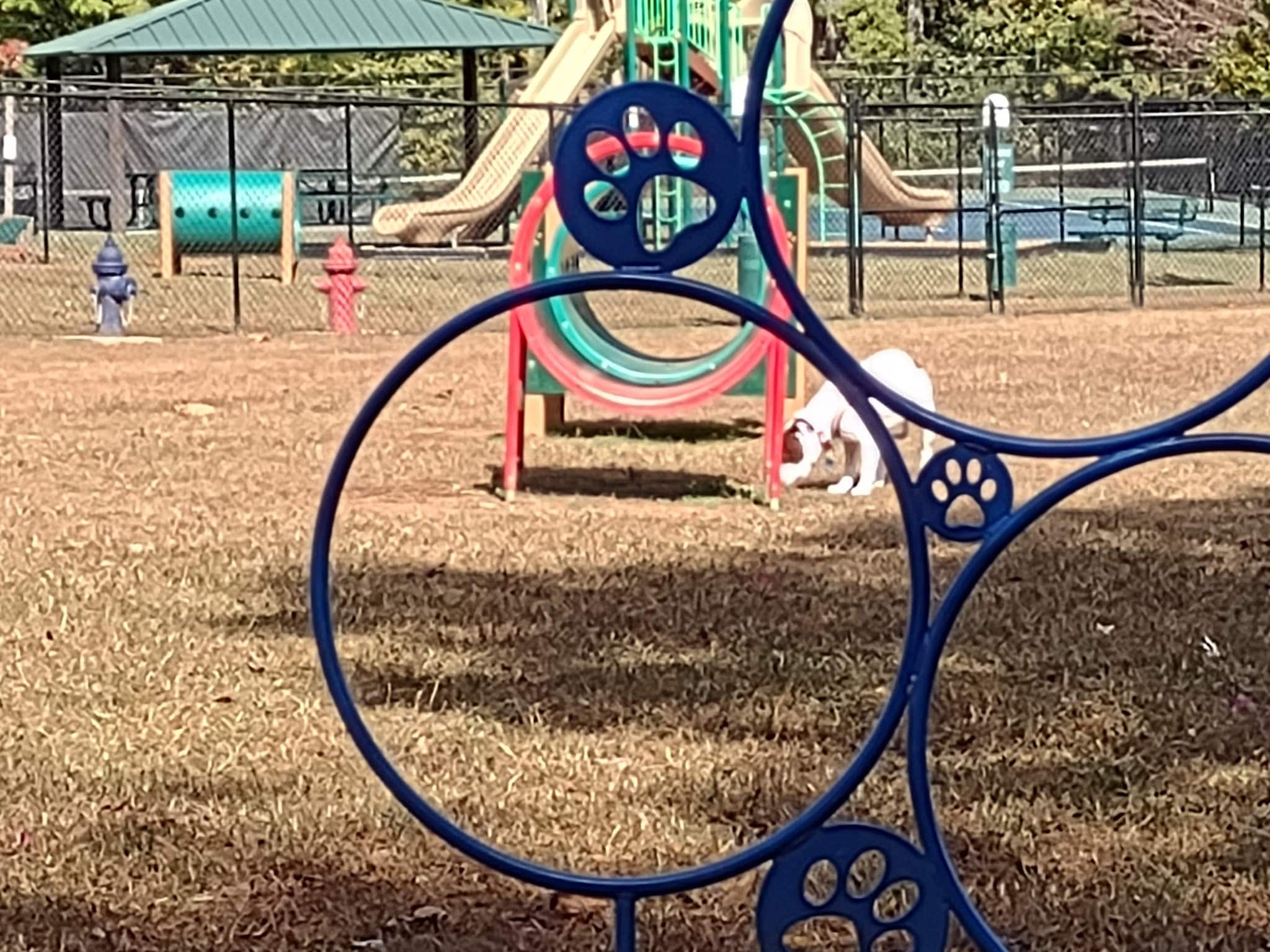 Richardson Dog Park - Stockbridge, GA