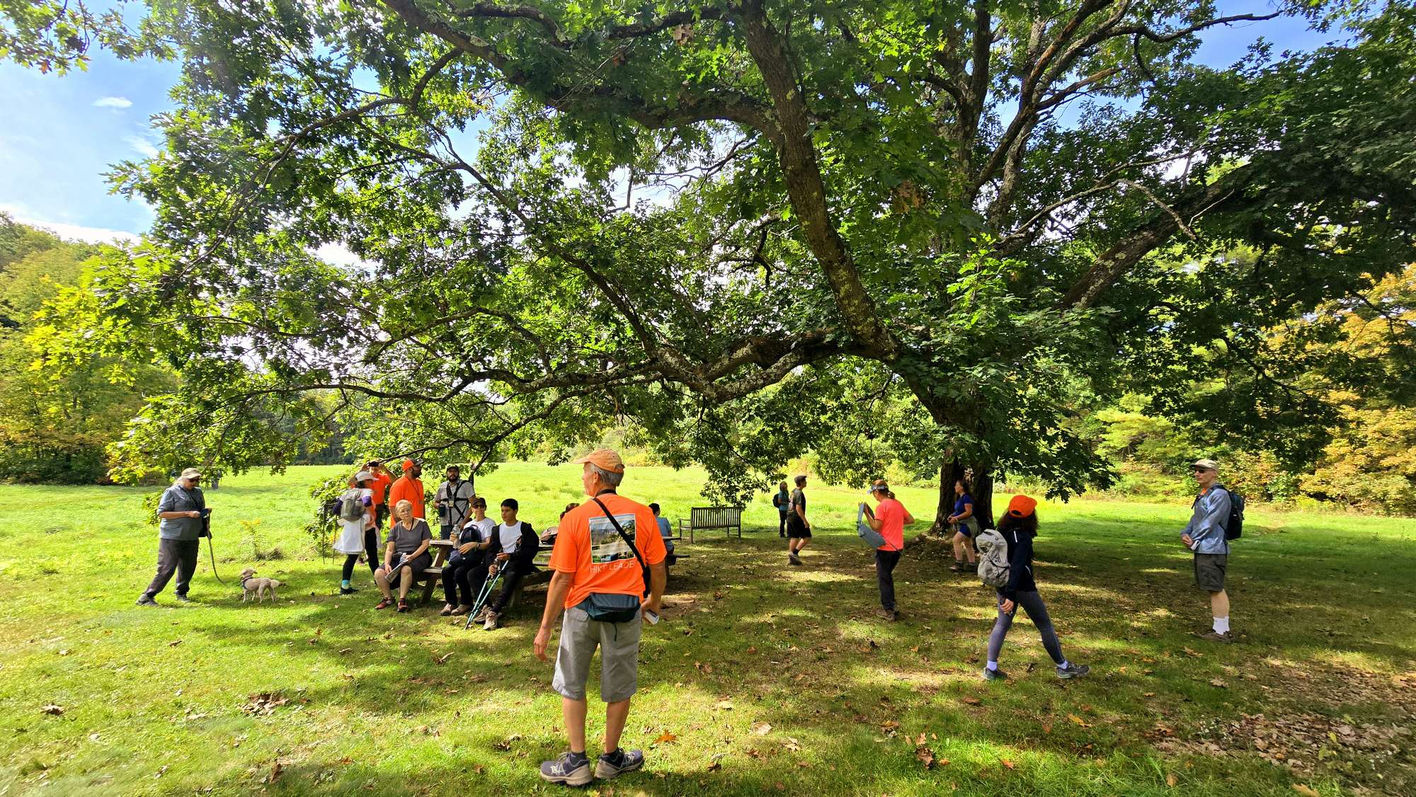 Bullard Woods - Stockbridge, MA