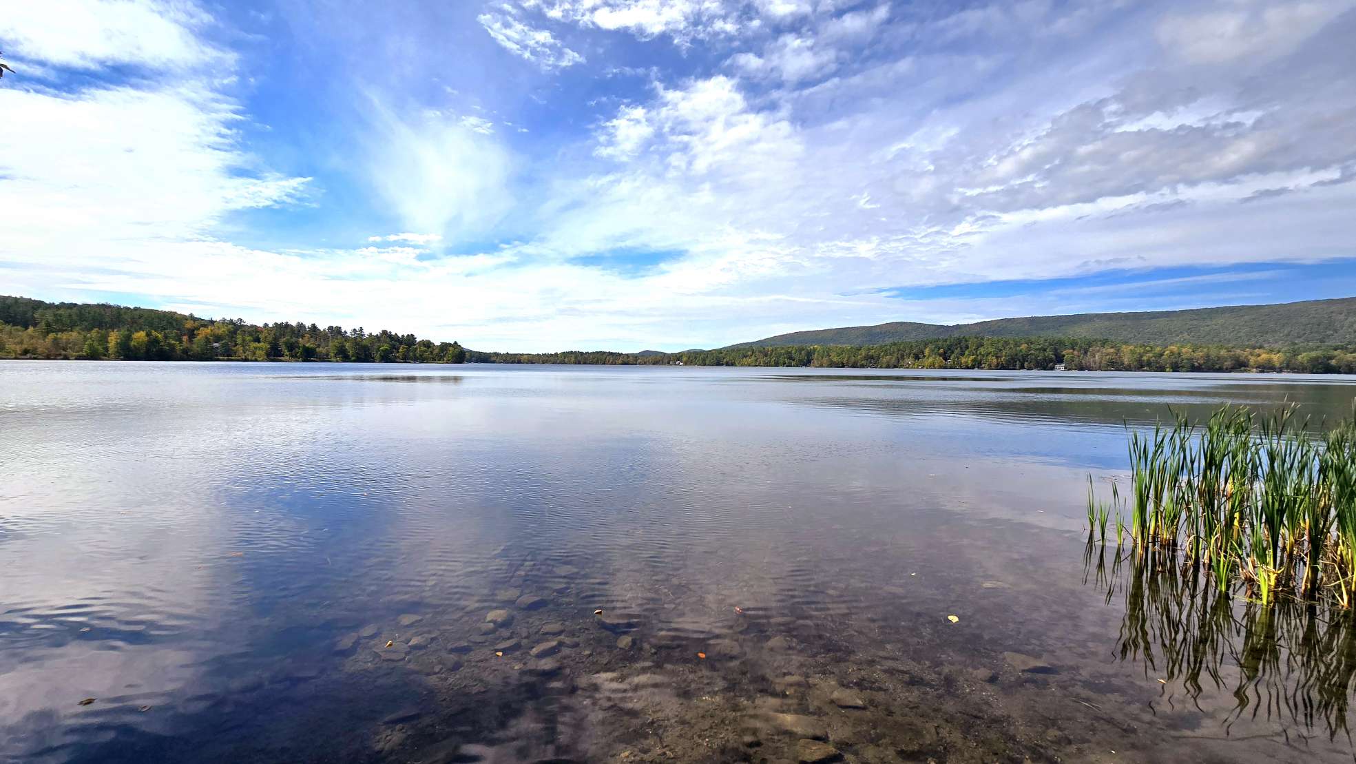 Bullard Woods - Stockbridge, MA