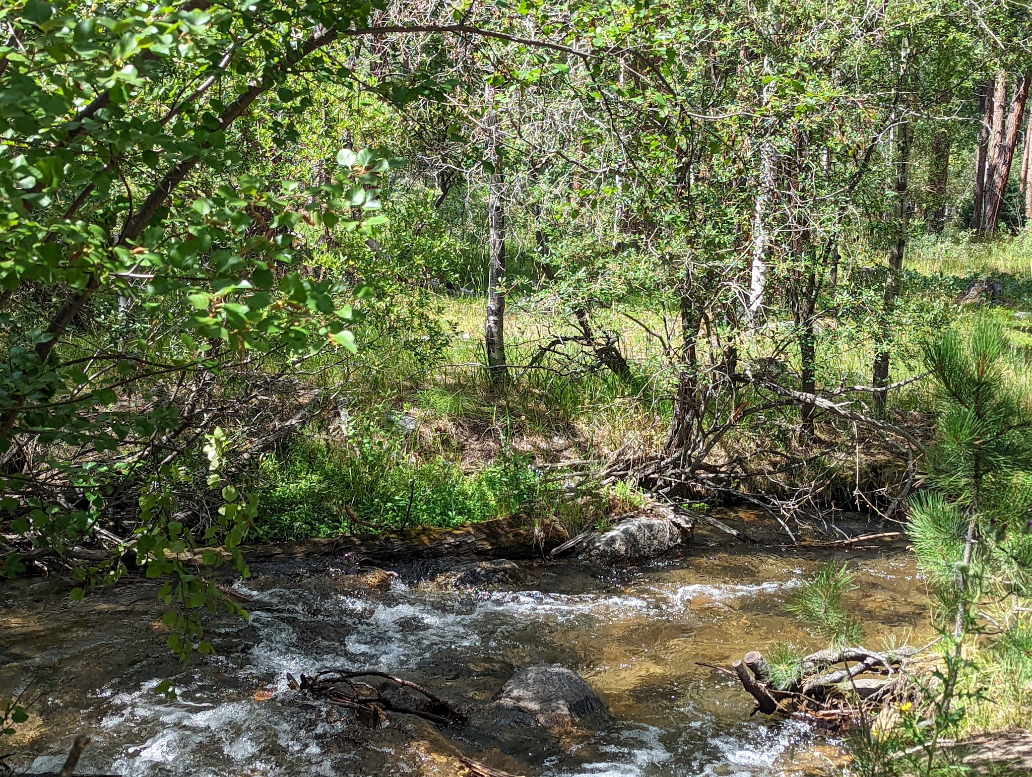 Story Centennial Park - Story, WY