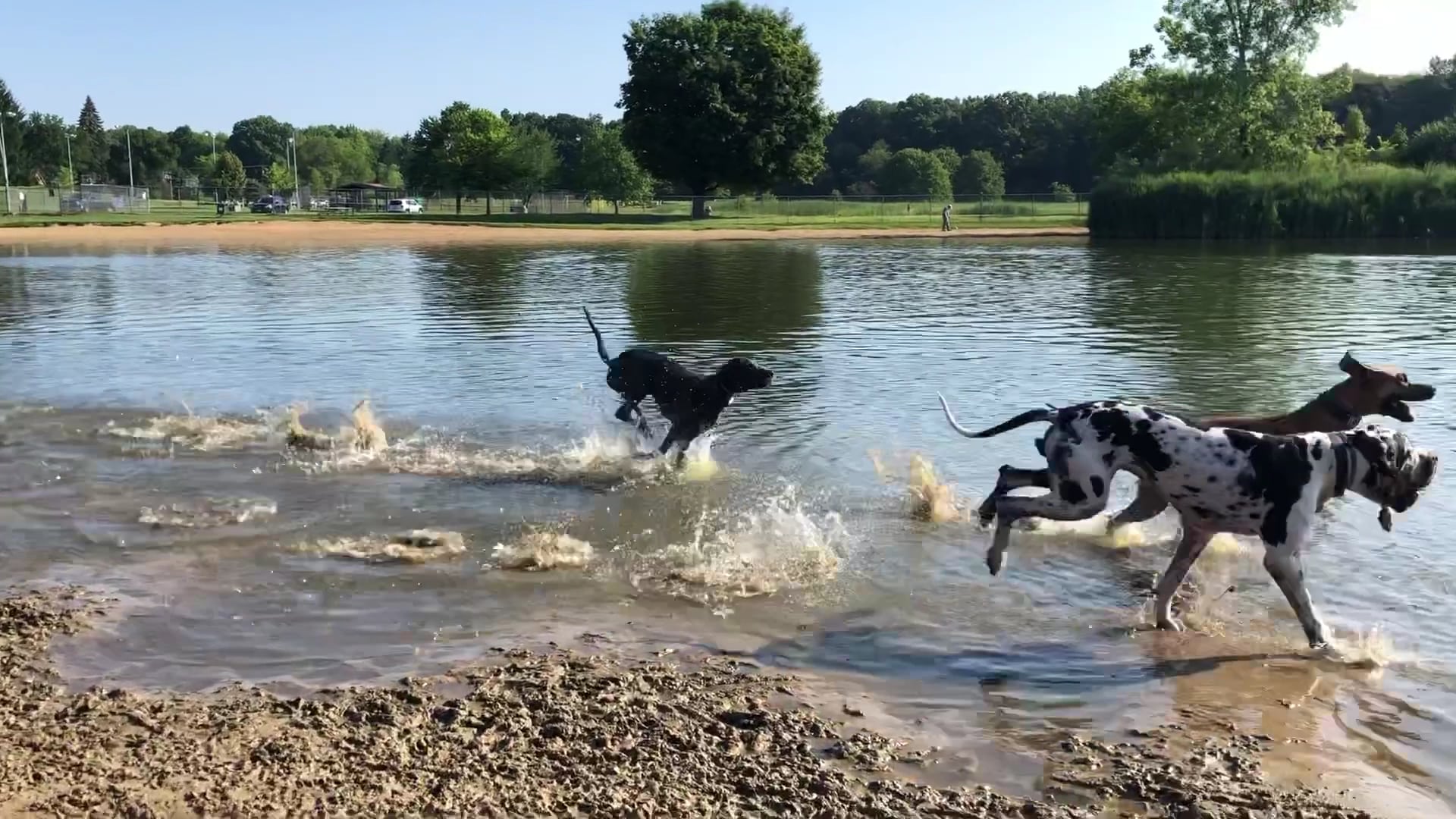 Bow Wow Beach - Stow, OH