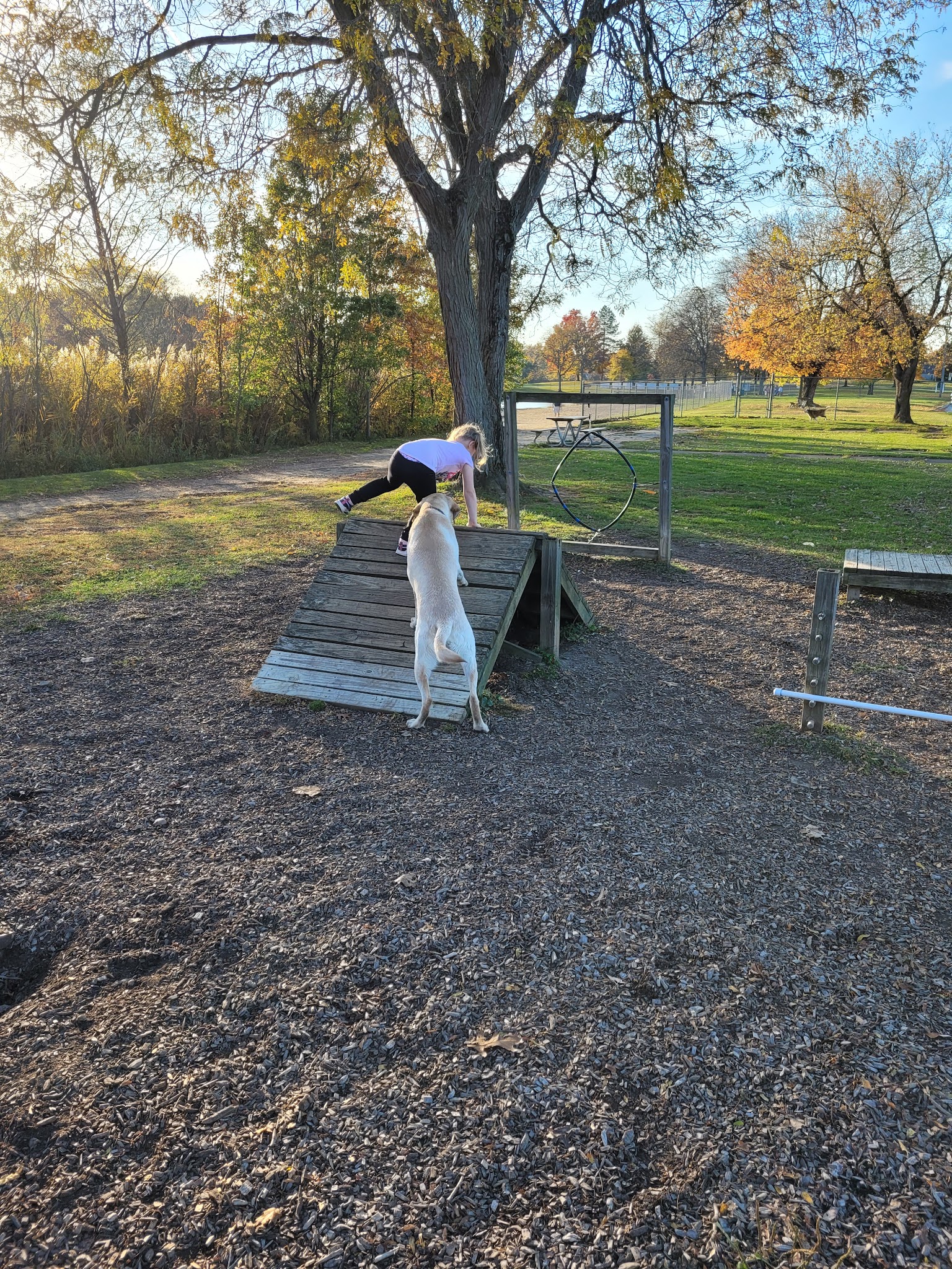 Bow Wow Beach - Stow, OH