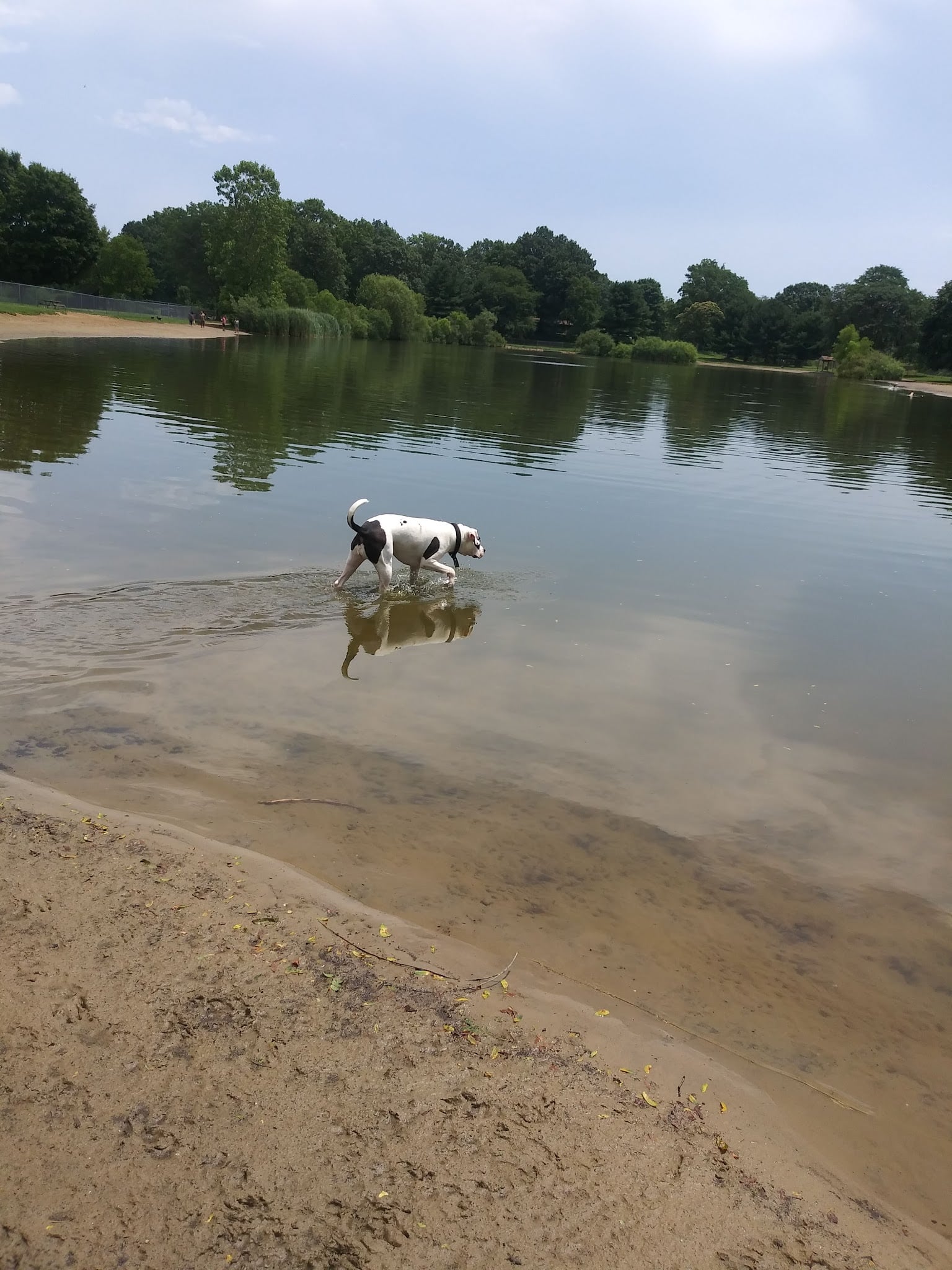 Bow Wow Beach - Stow, OH