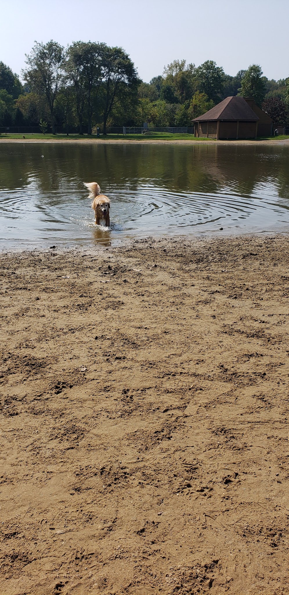 Bow Wow Beach - Stow, OH