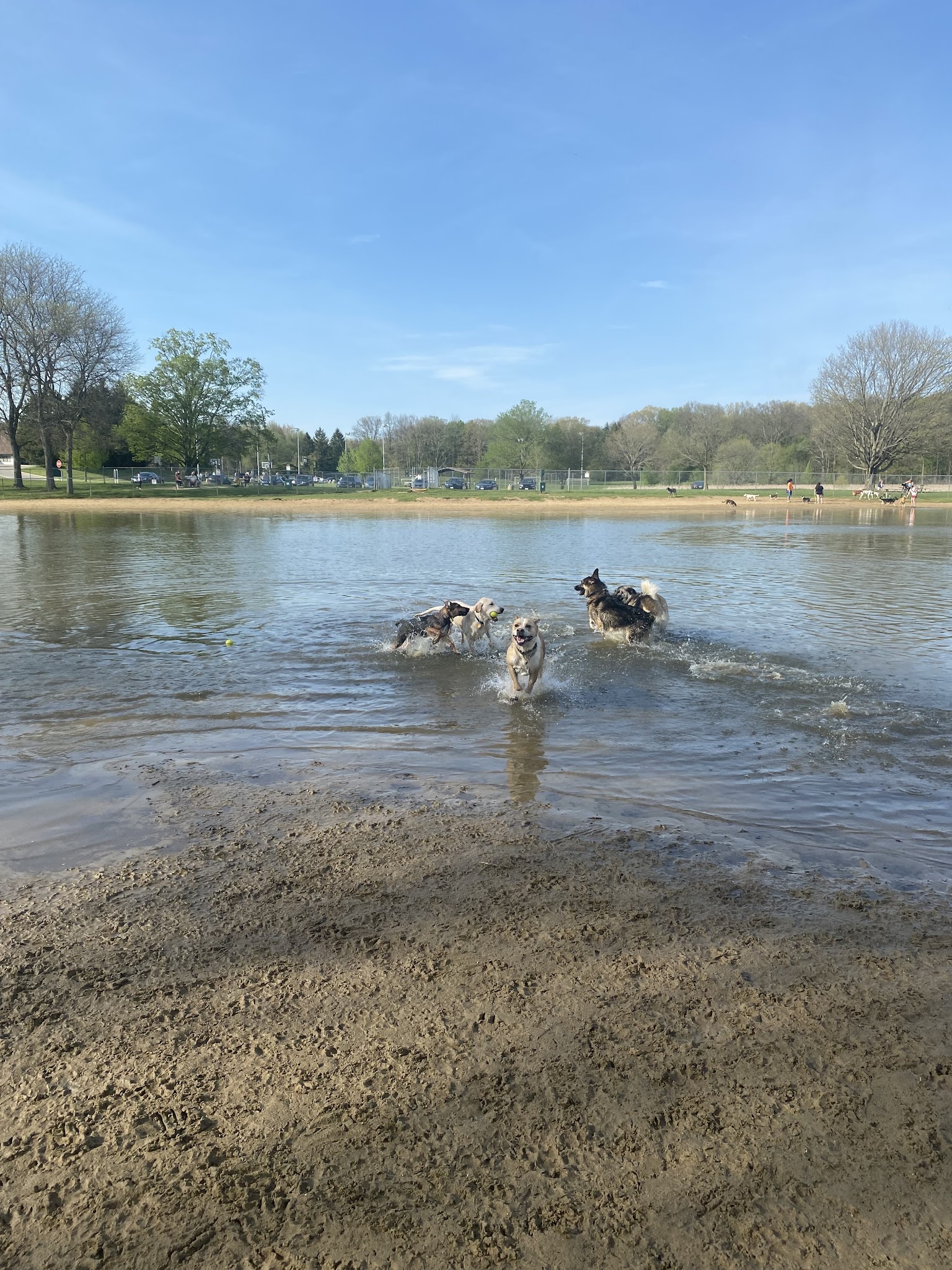 Bow Wow Beach - Stow, OH