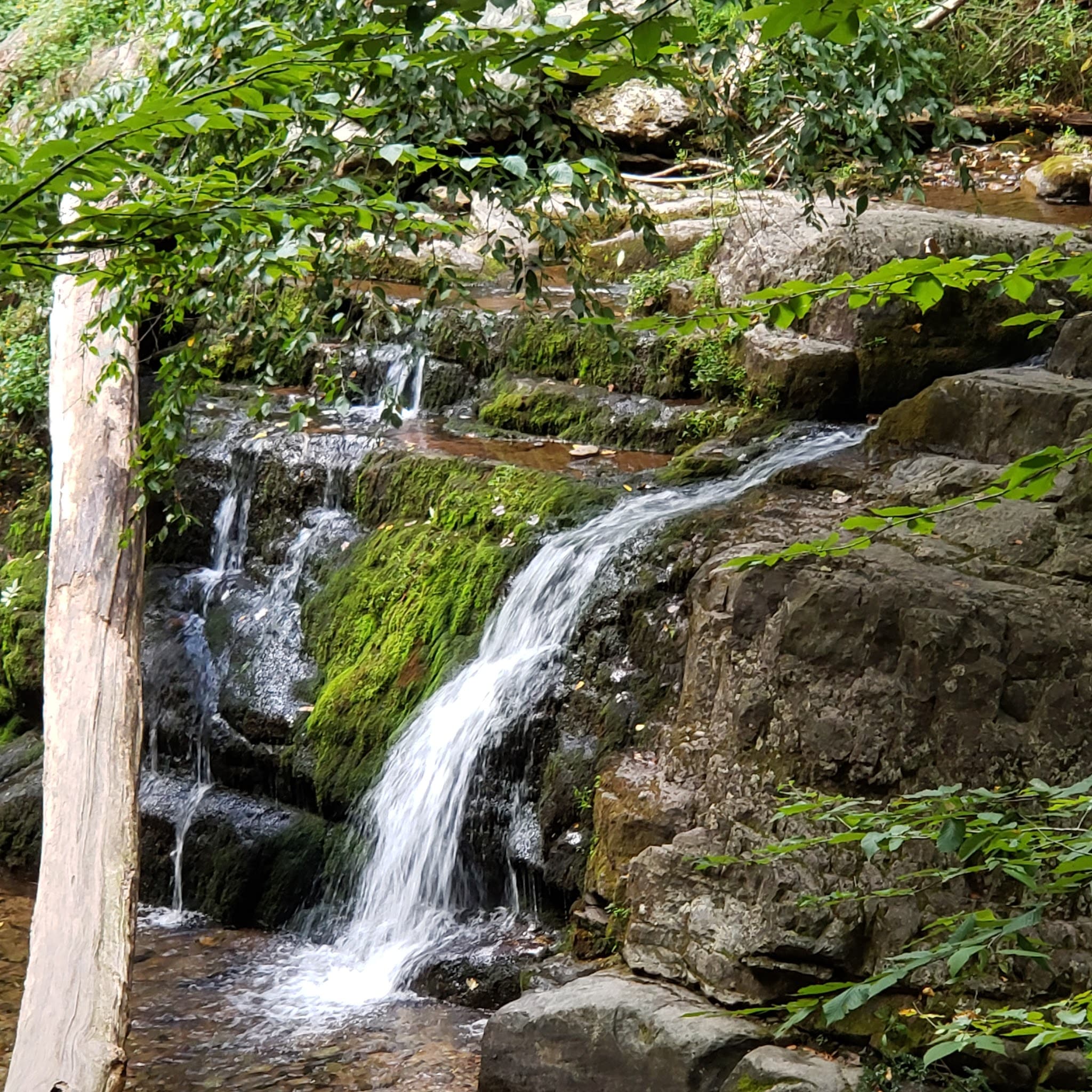 Dunnfield Creek Natural Area trailhead - Stroudsburg, PA