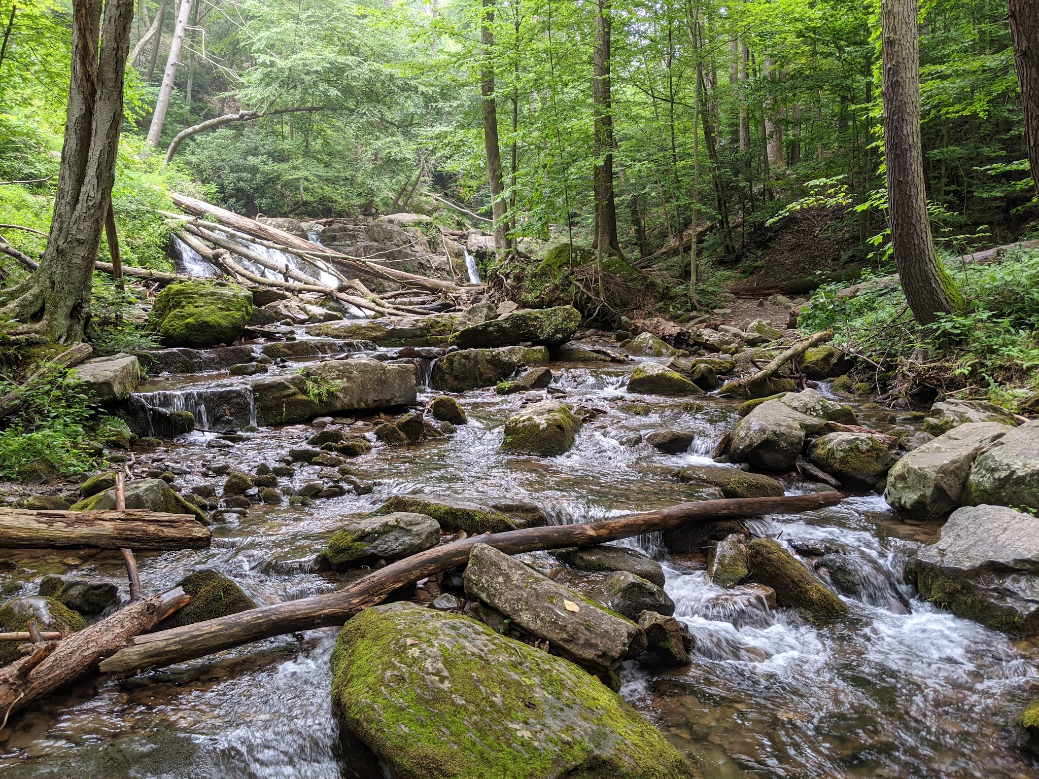 Dunnfield Creek Natural Area trailhead - Stroudsburg, PA