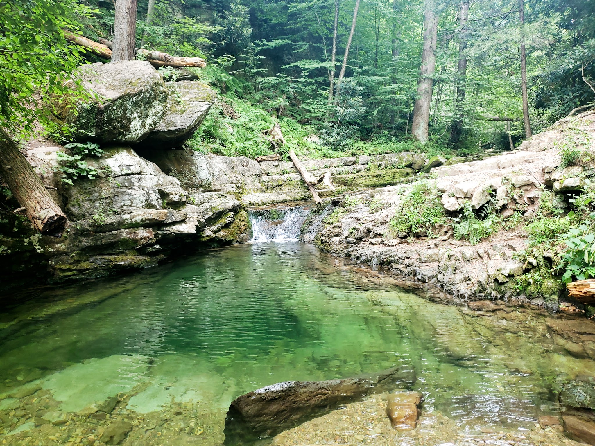 Dunnfield Creek Natural Area trailhead - Stroudsburg, PA