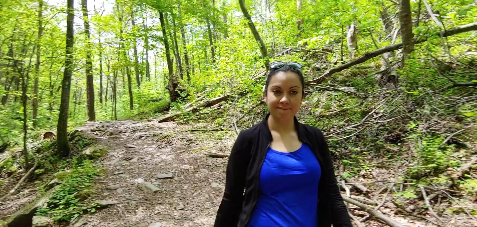 Dunnfield Creek Natural Area trailhead - Stroudsburg, PA