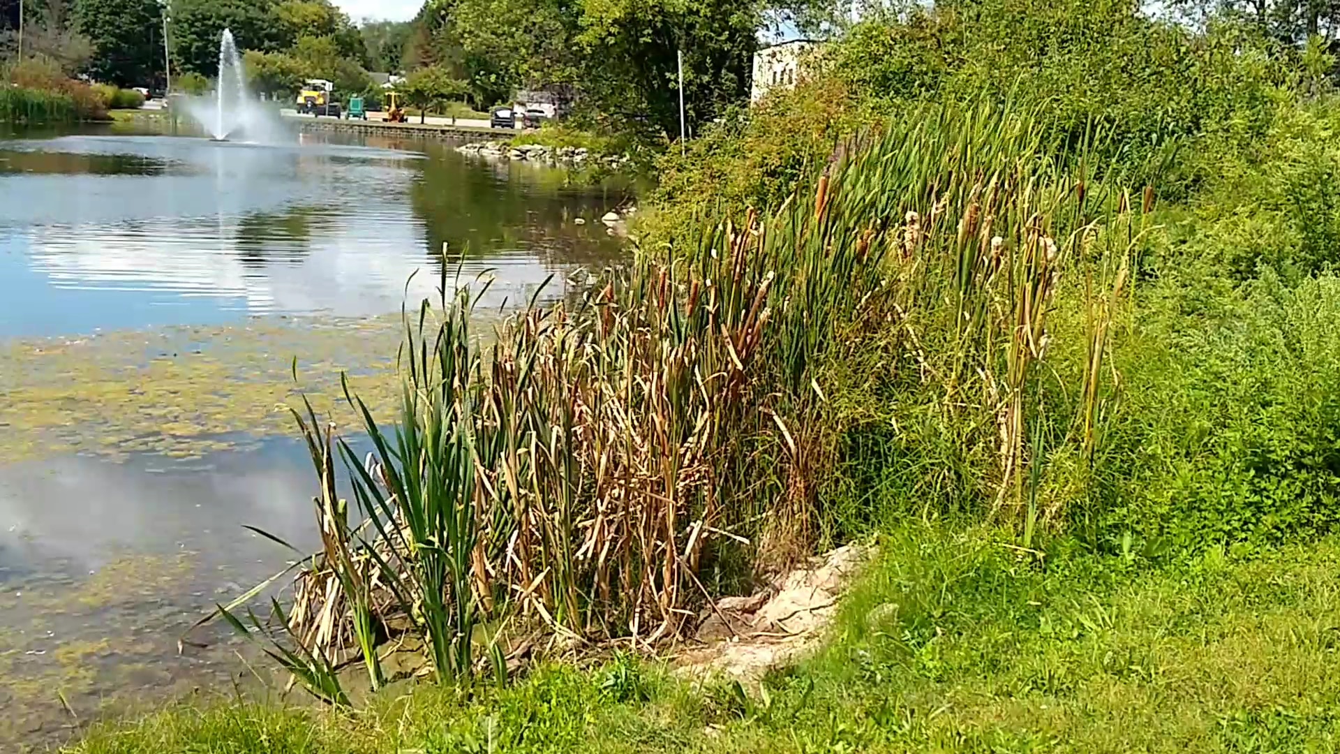 Jay Albertson Park - Stroudsburg, PA
