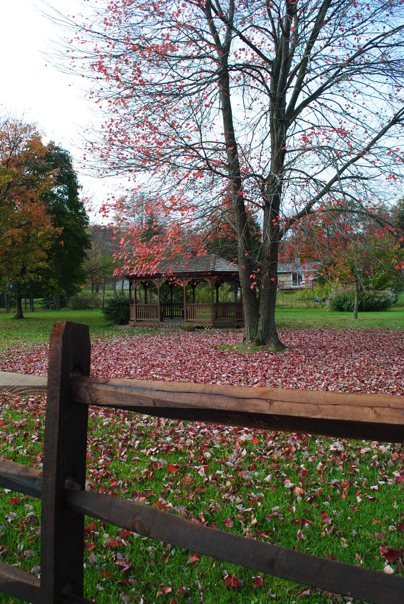 Jay Albertson Park - Stroudsburg, PA