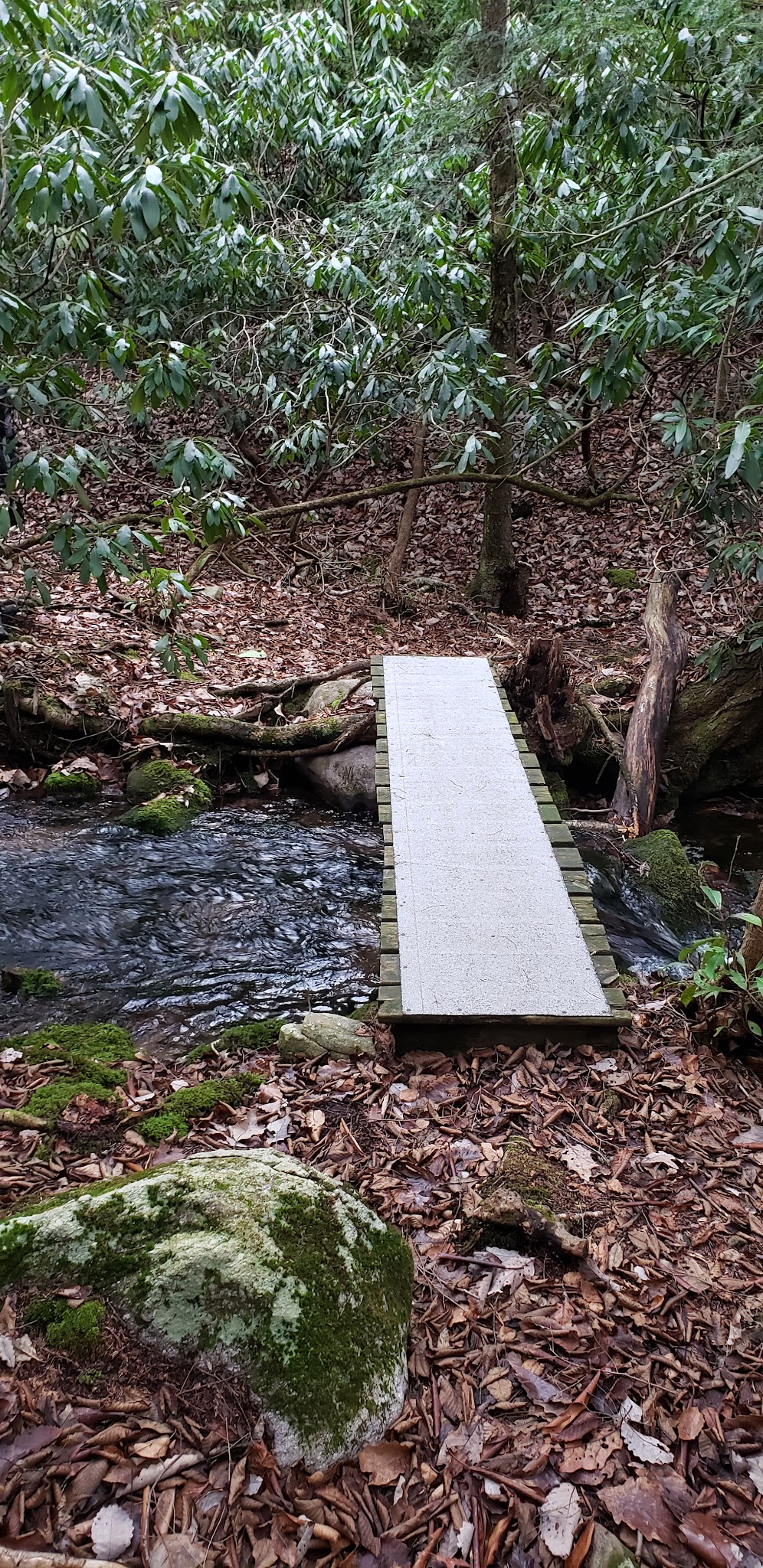 Bowers Creek Trail - Stroudsburg, PA
