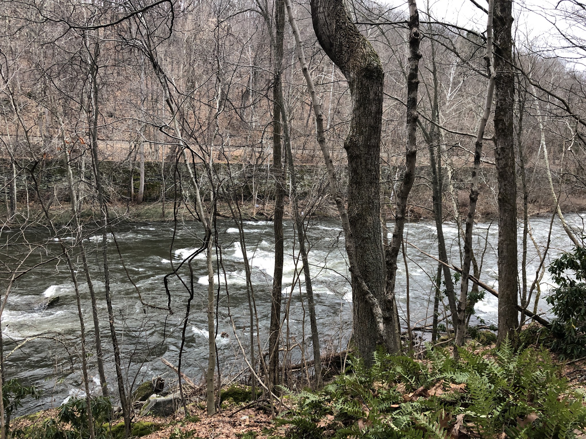 Glen Park - Stroudsburg, PA